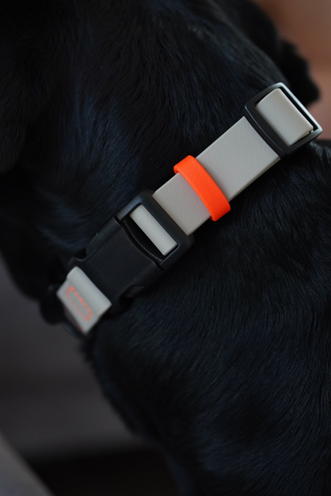 Biothane Halsband Nemi-Klick