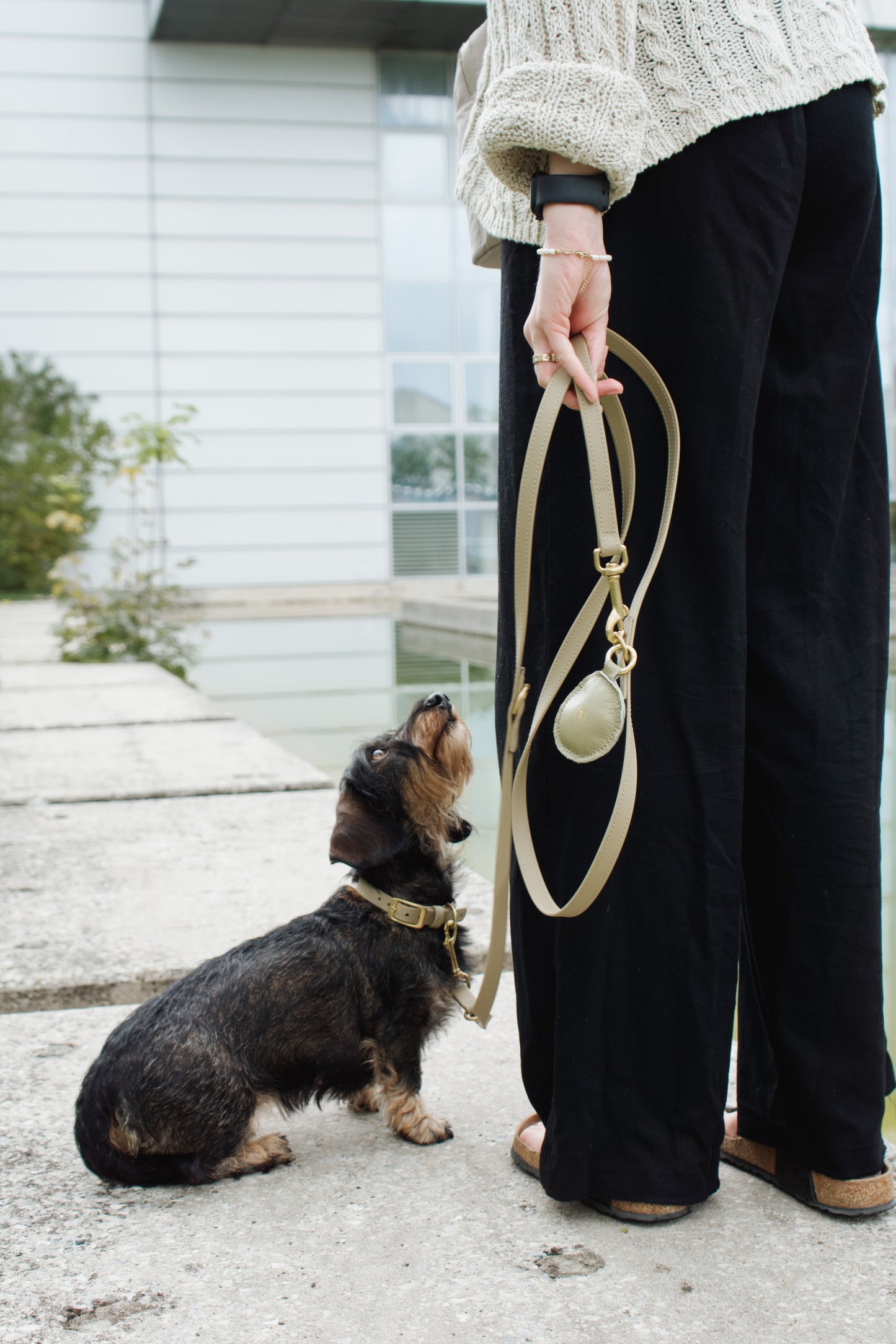 Biothane Halsband Classic