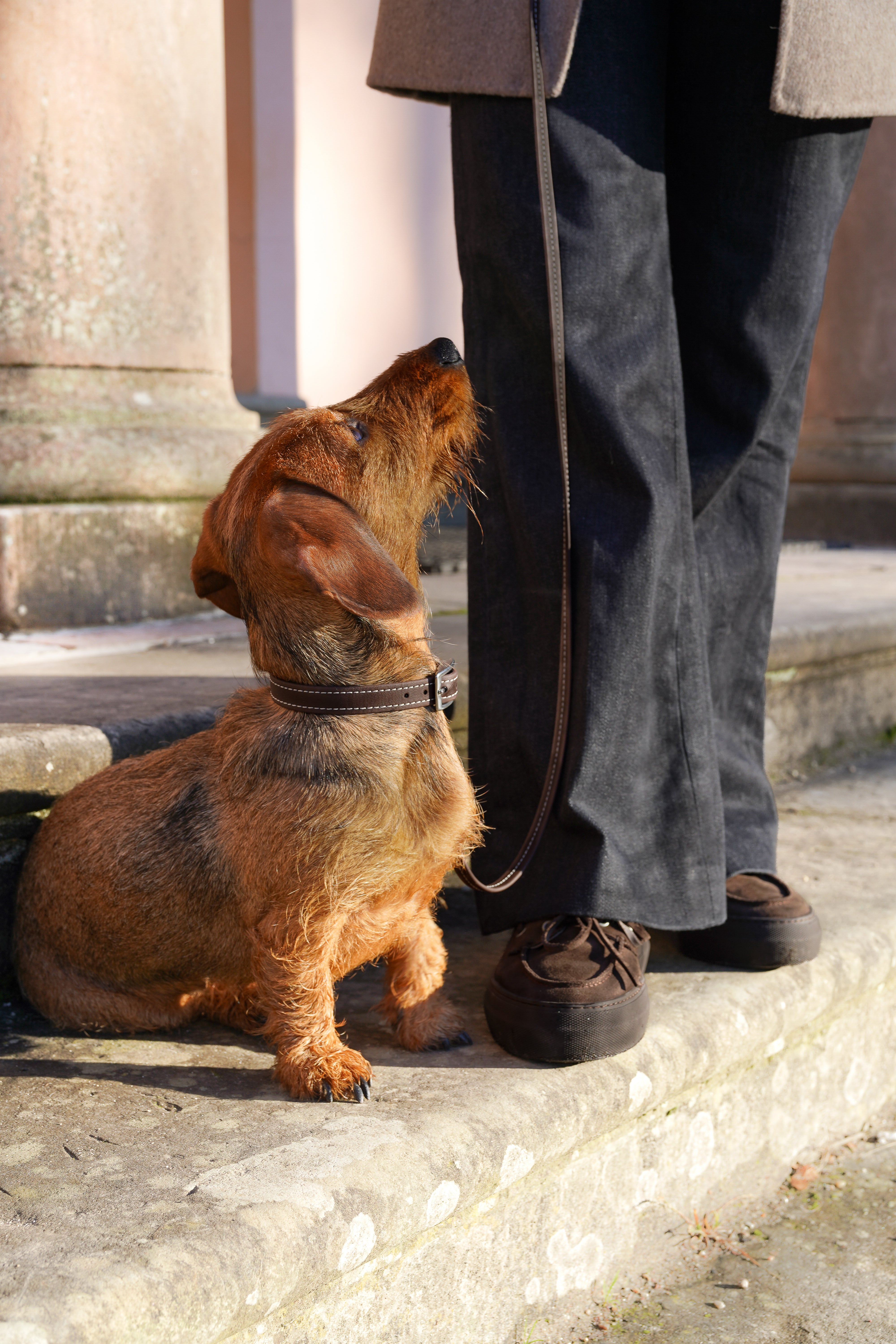 Biothane Leine Nooka Chocolate small