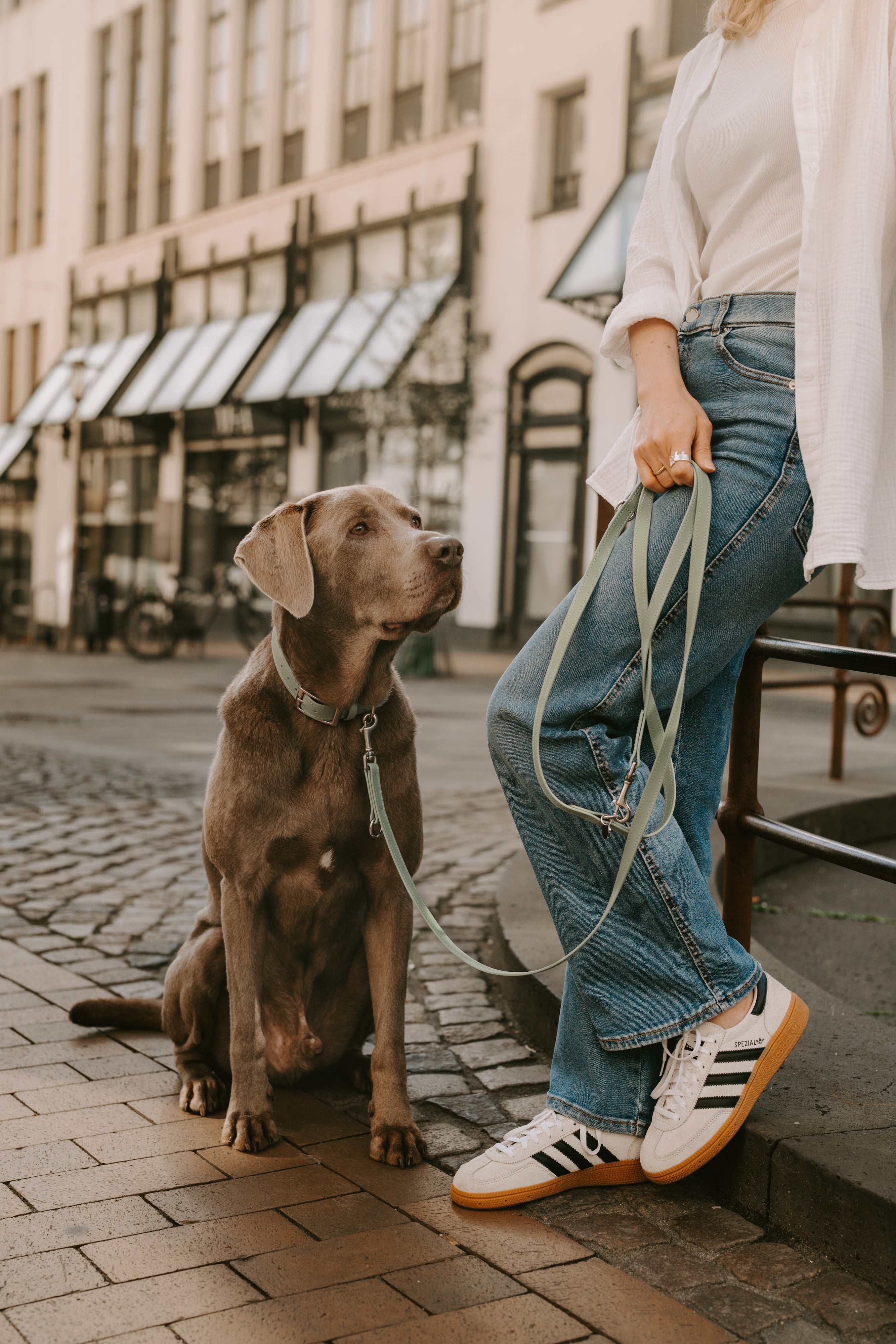 Biothane Leine Classic individuell