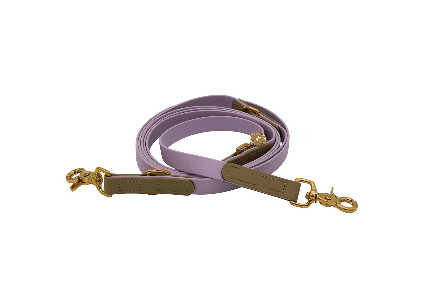 <transcy>Biothane leash Classic</transcy>