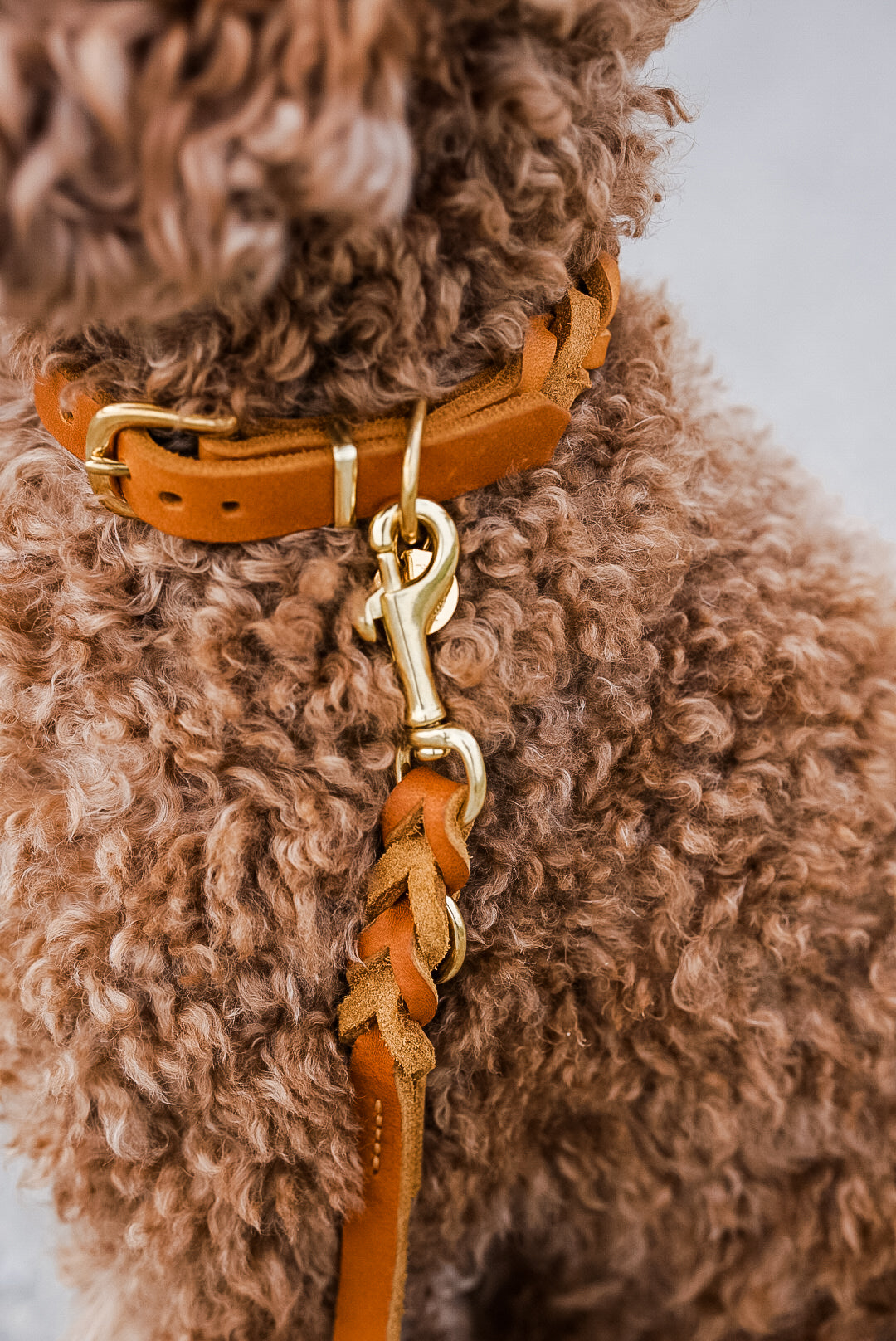 Fettlederhalsband Brida small