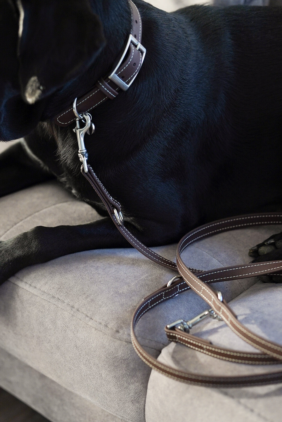 Biothane Halsband Nooka Chocolate