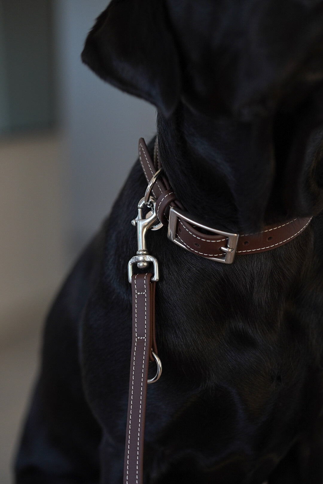 Biothane Halsband Nooka Chocolate