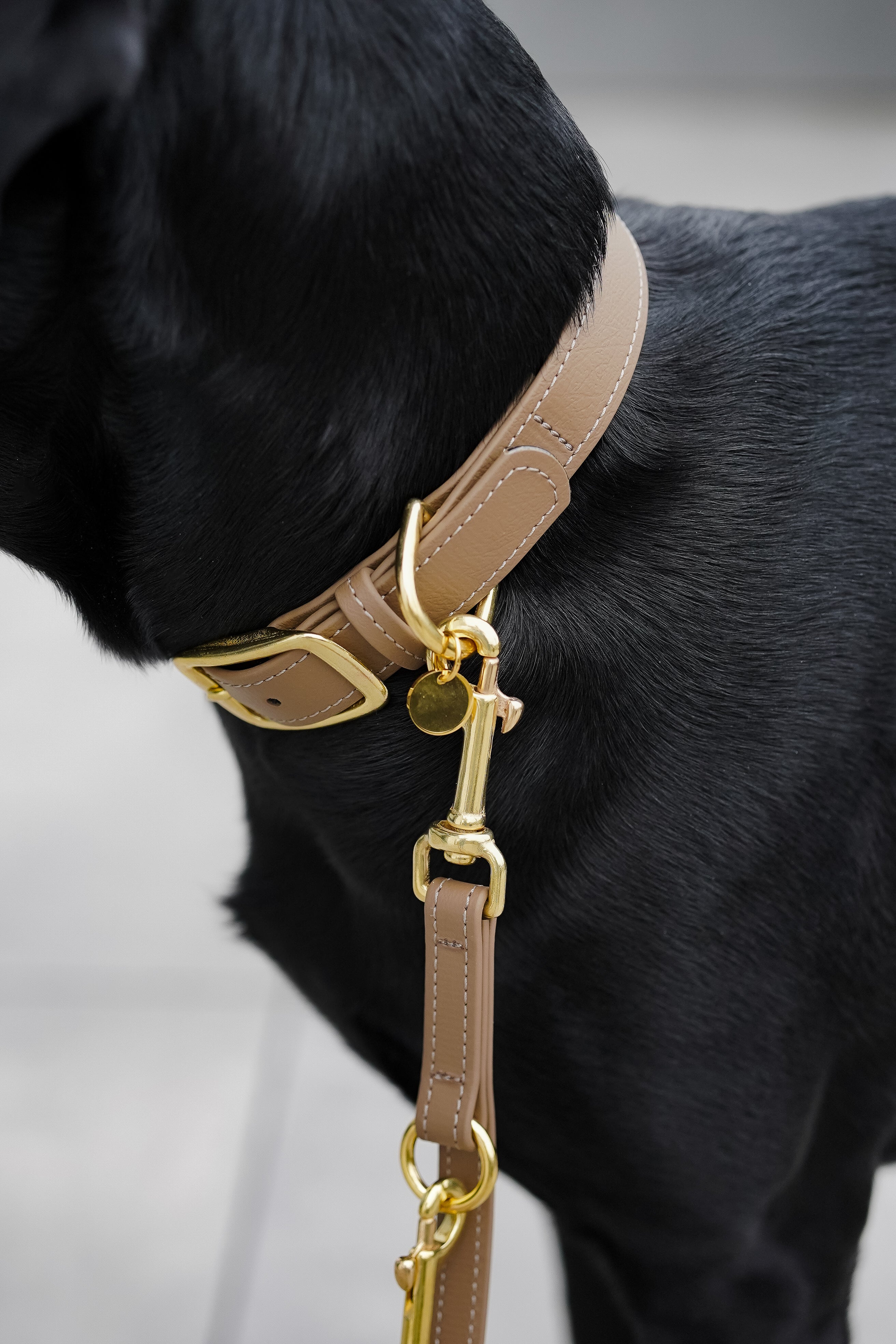 Biothane Halsband Classic