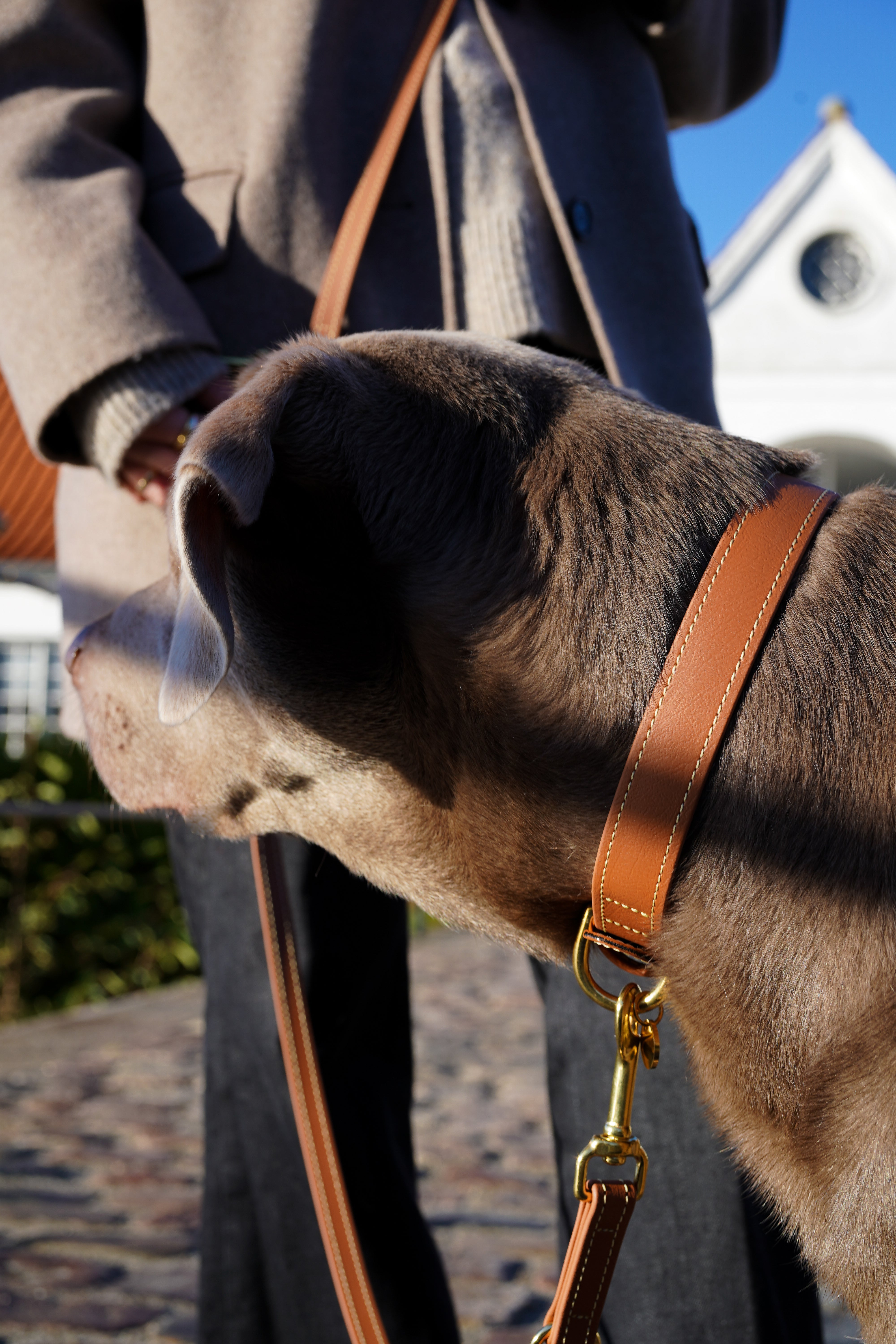 Biothane Halsband Nooka Toffee