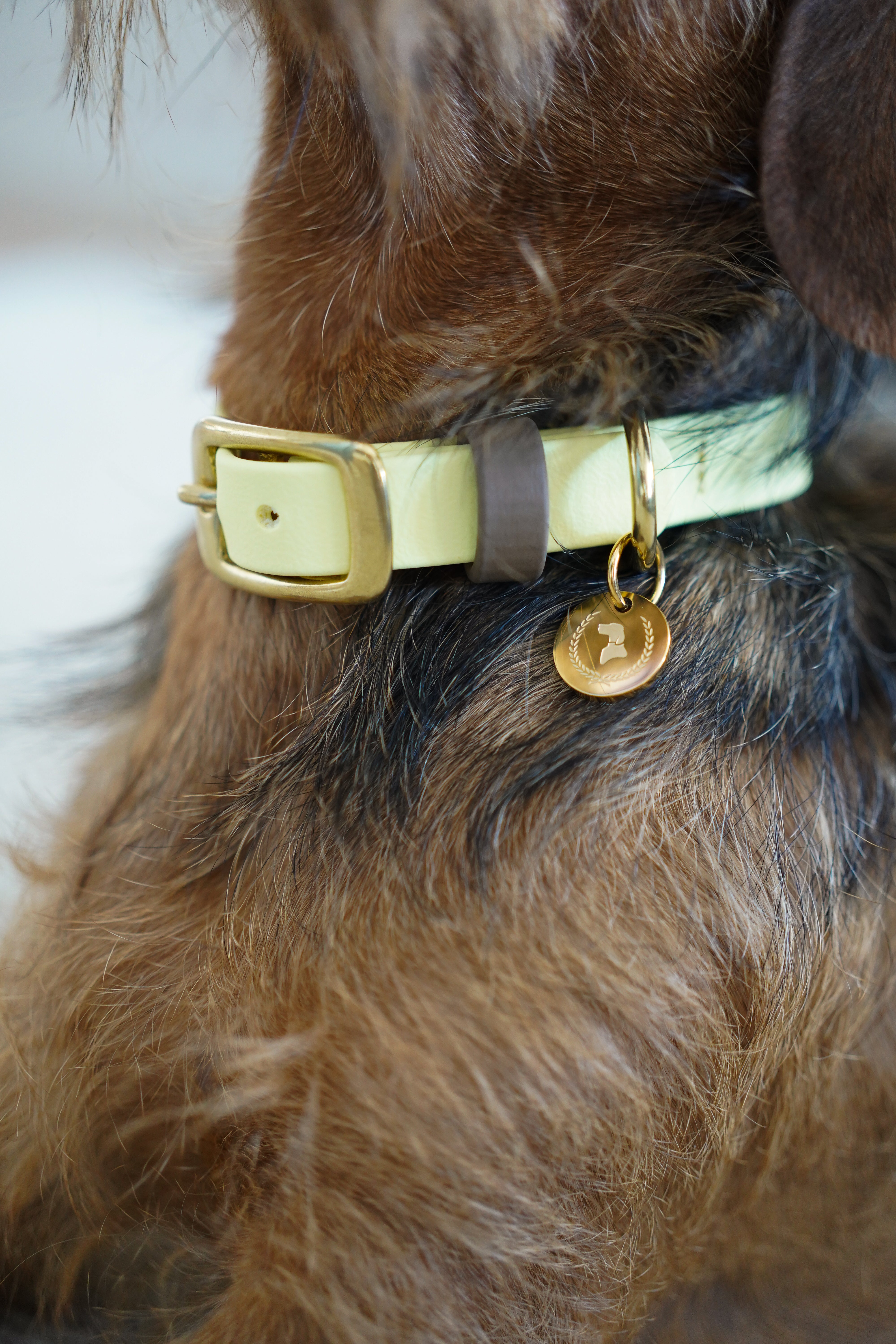 Biothane Halsband Nemi 'individuell'