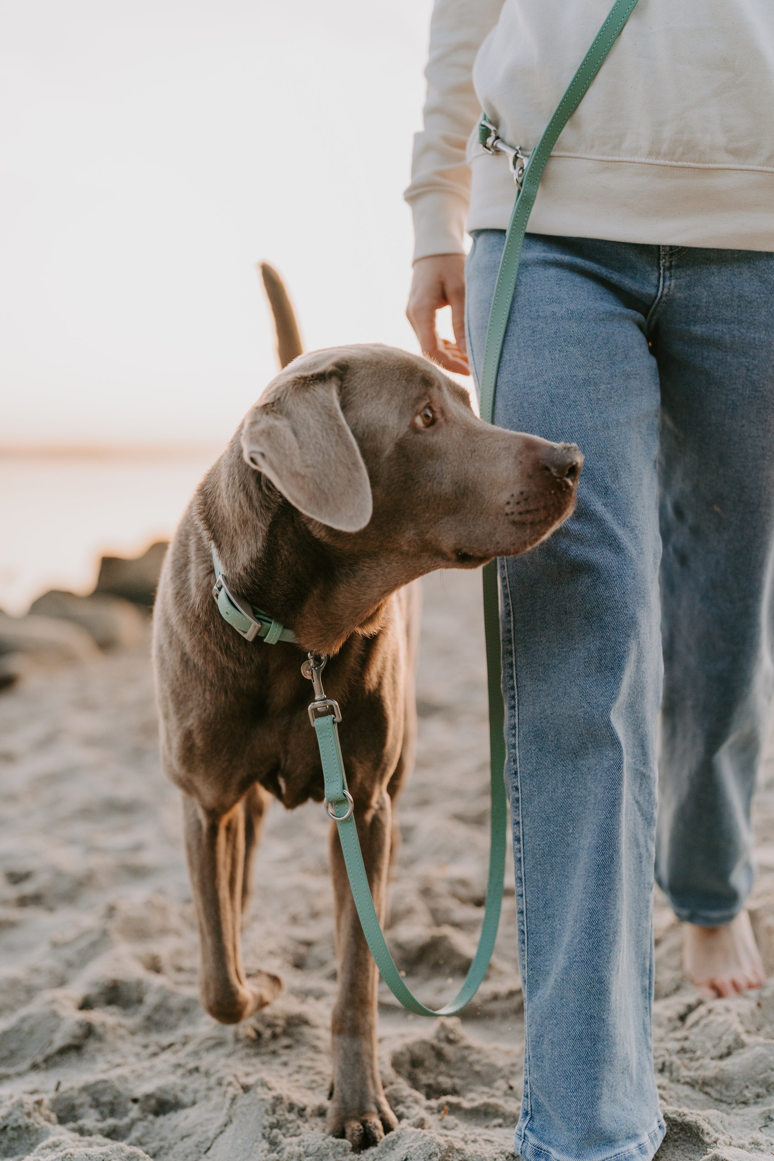 Biothane Leine Classic individuell