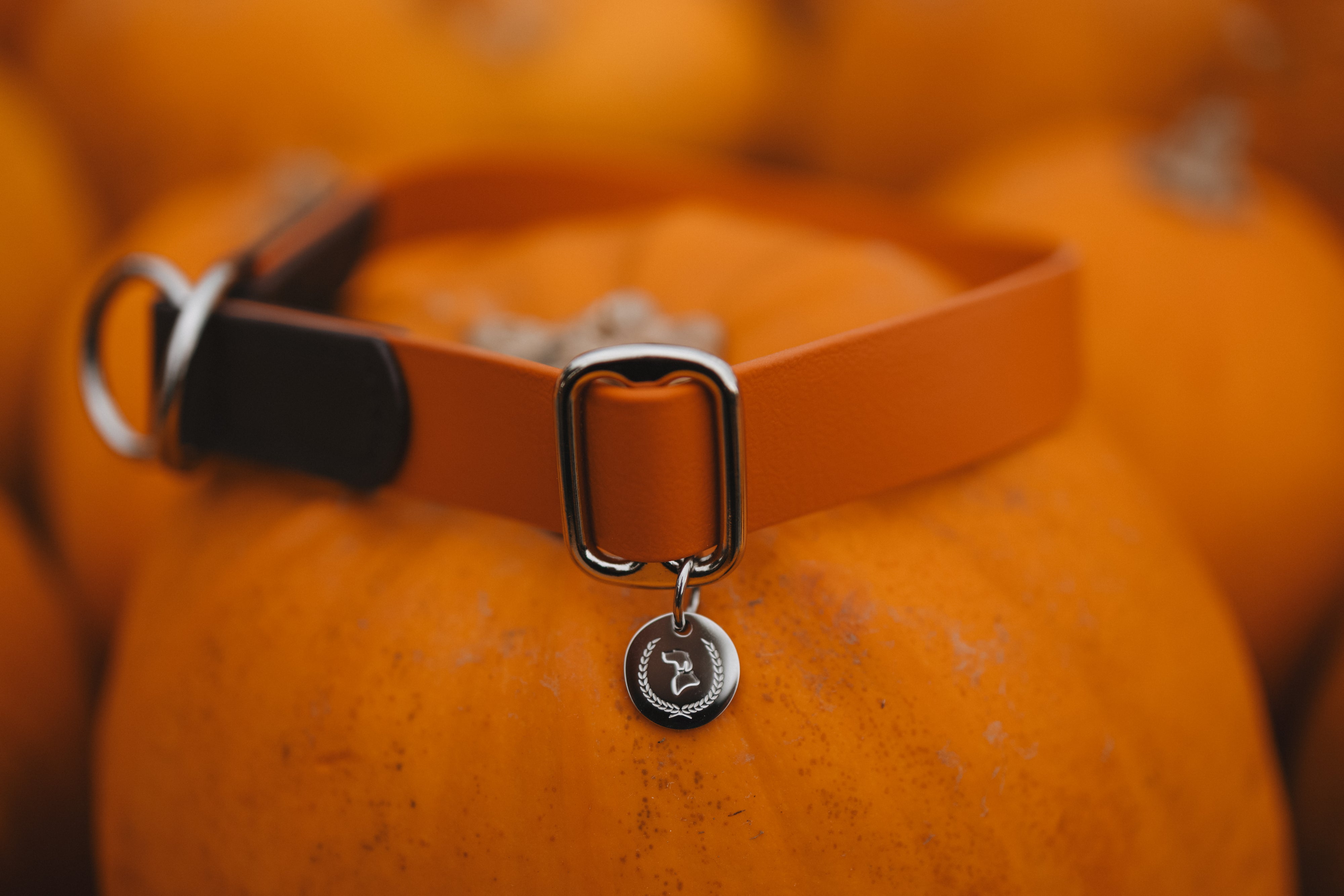 Biothane Zugstopphalsband Maddison individuell