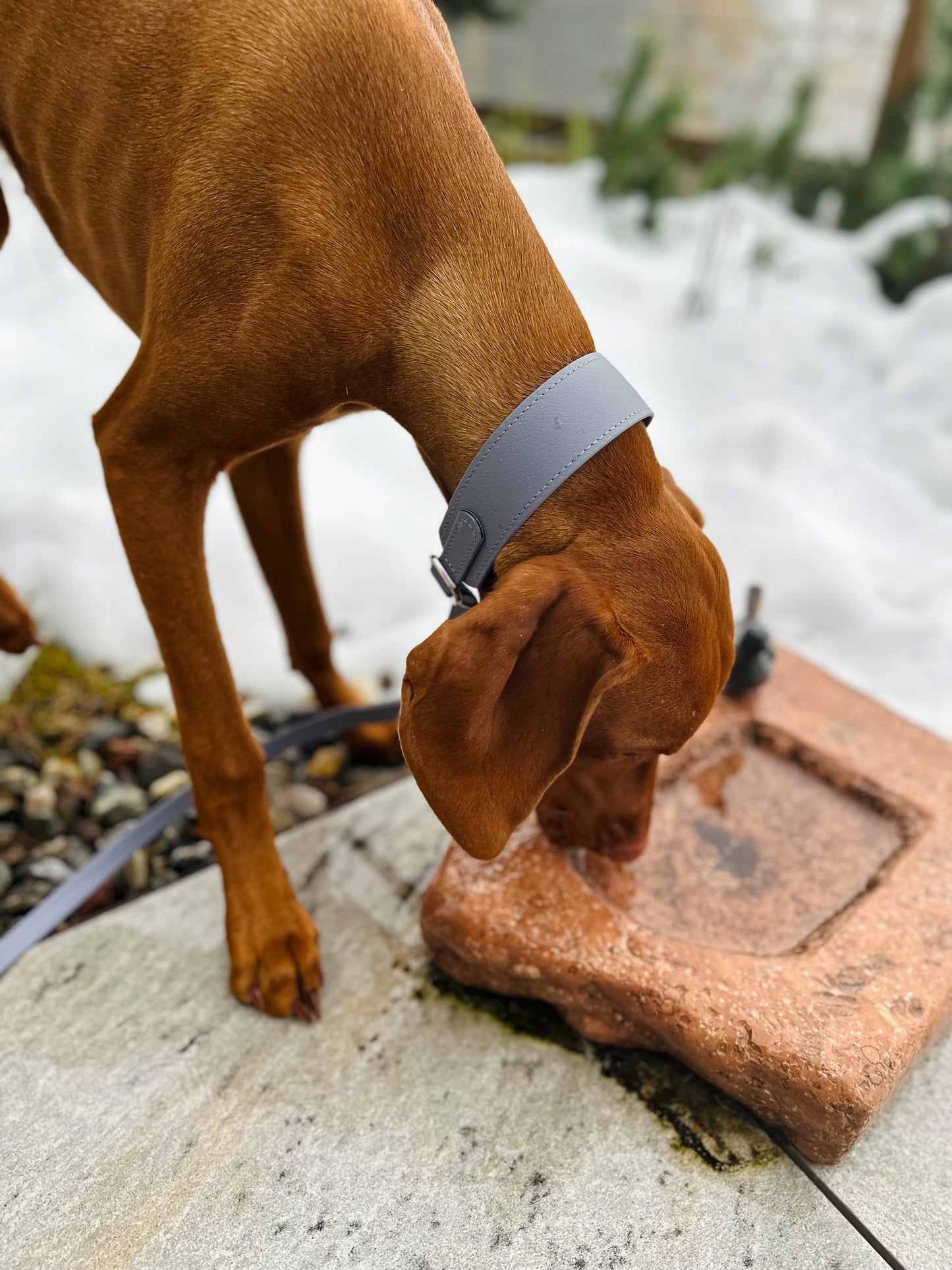Biothane Zugstopphalsband Classic 38mm