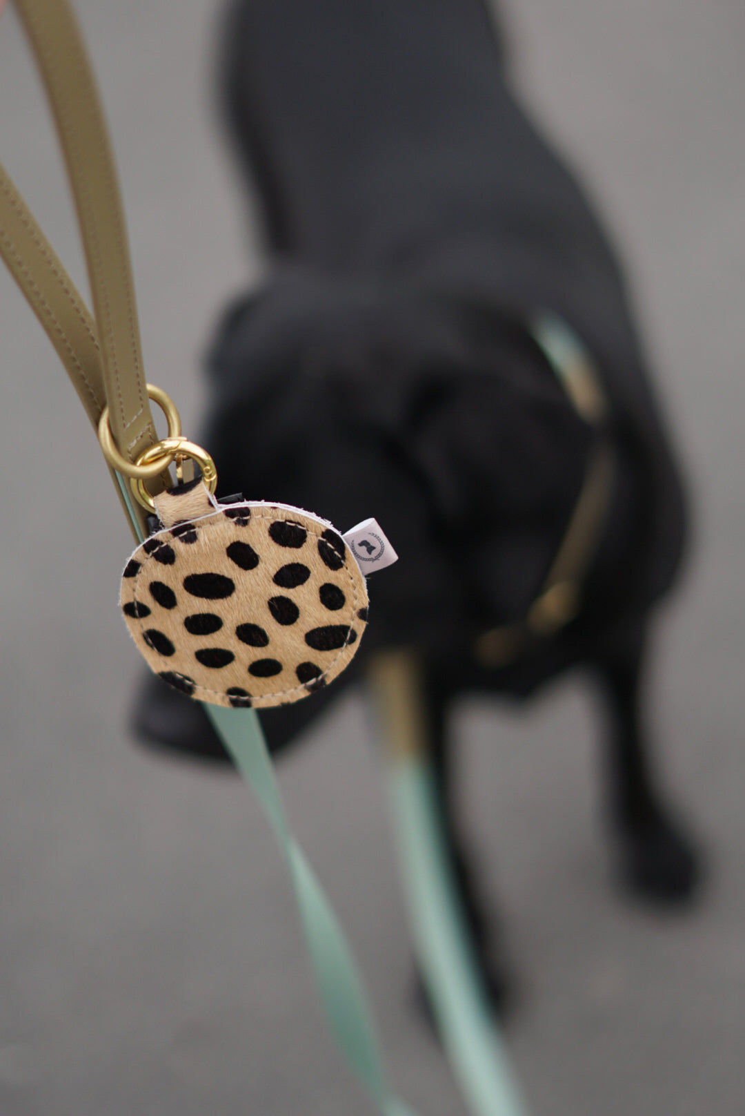 Poop bag dispenser cheetah print - SPECIAL EDITION