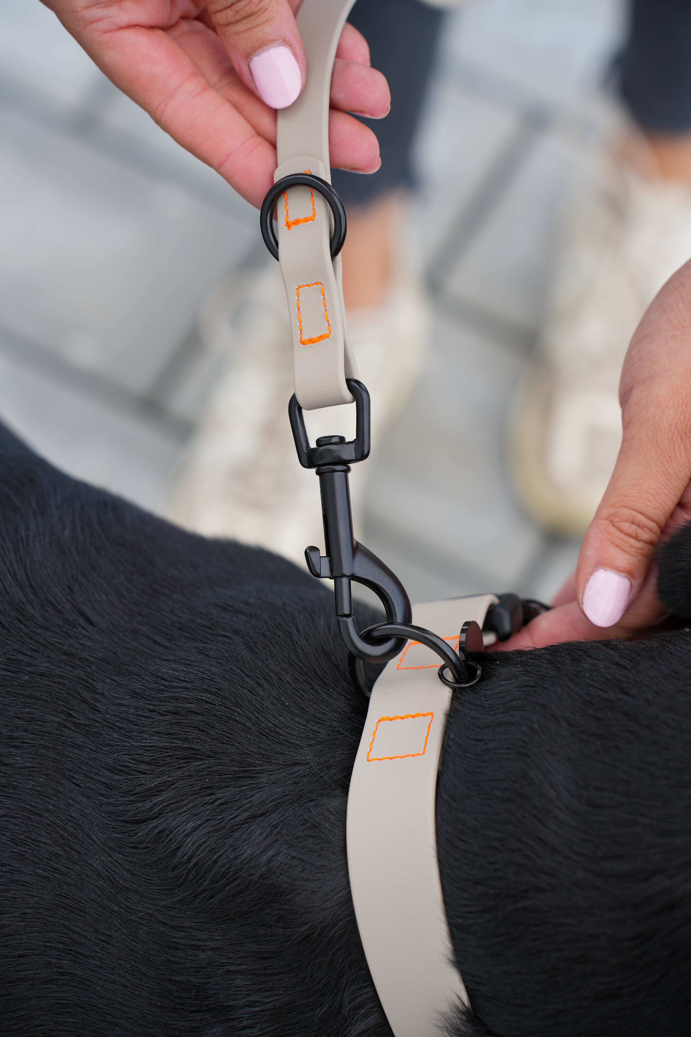 Biothane Halsband Nemi-Klick