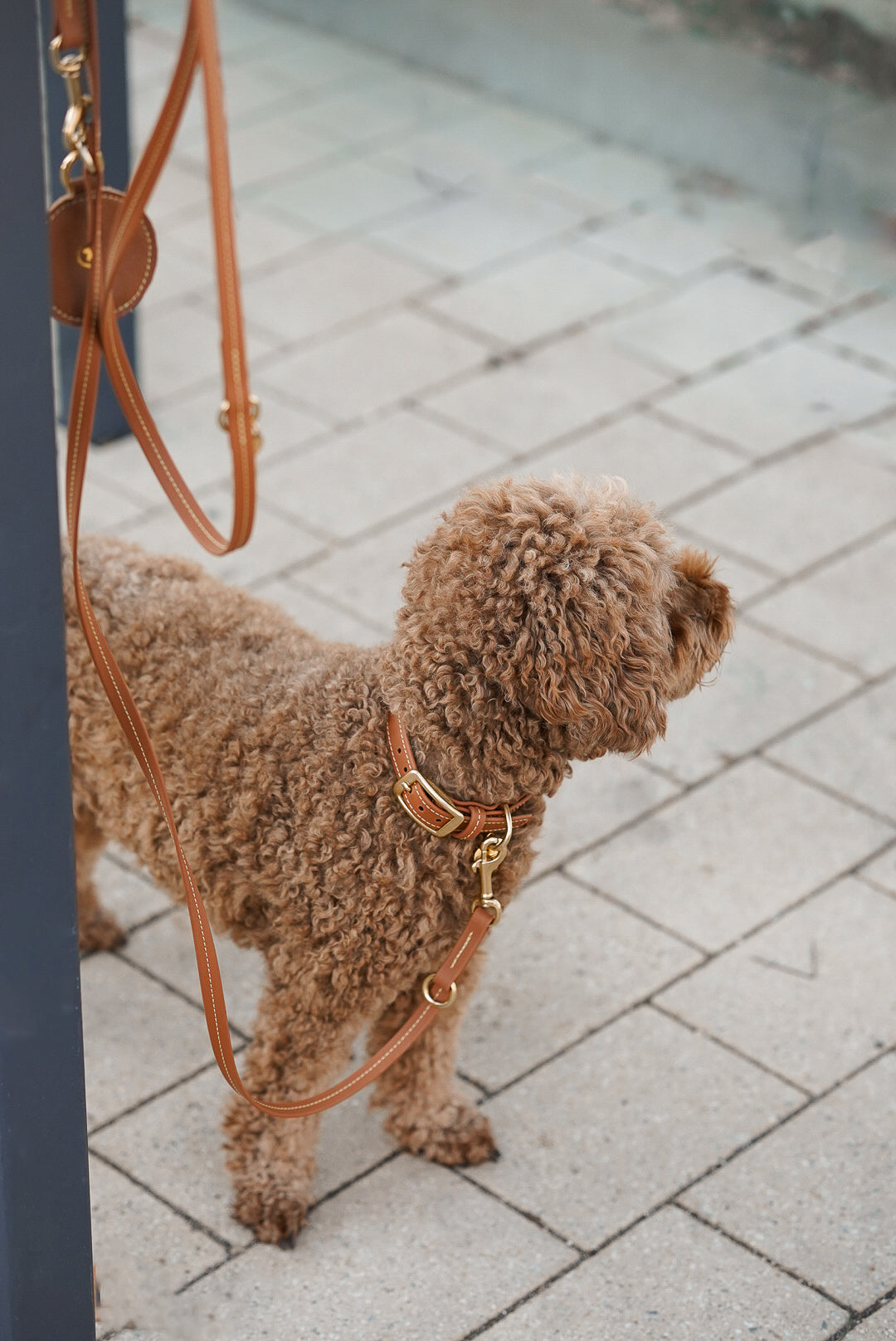 Biothane Halsband Nooka Toffee small