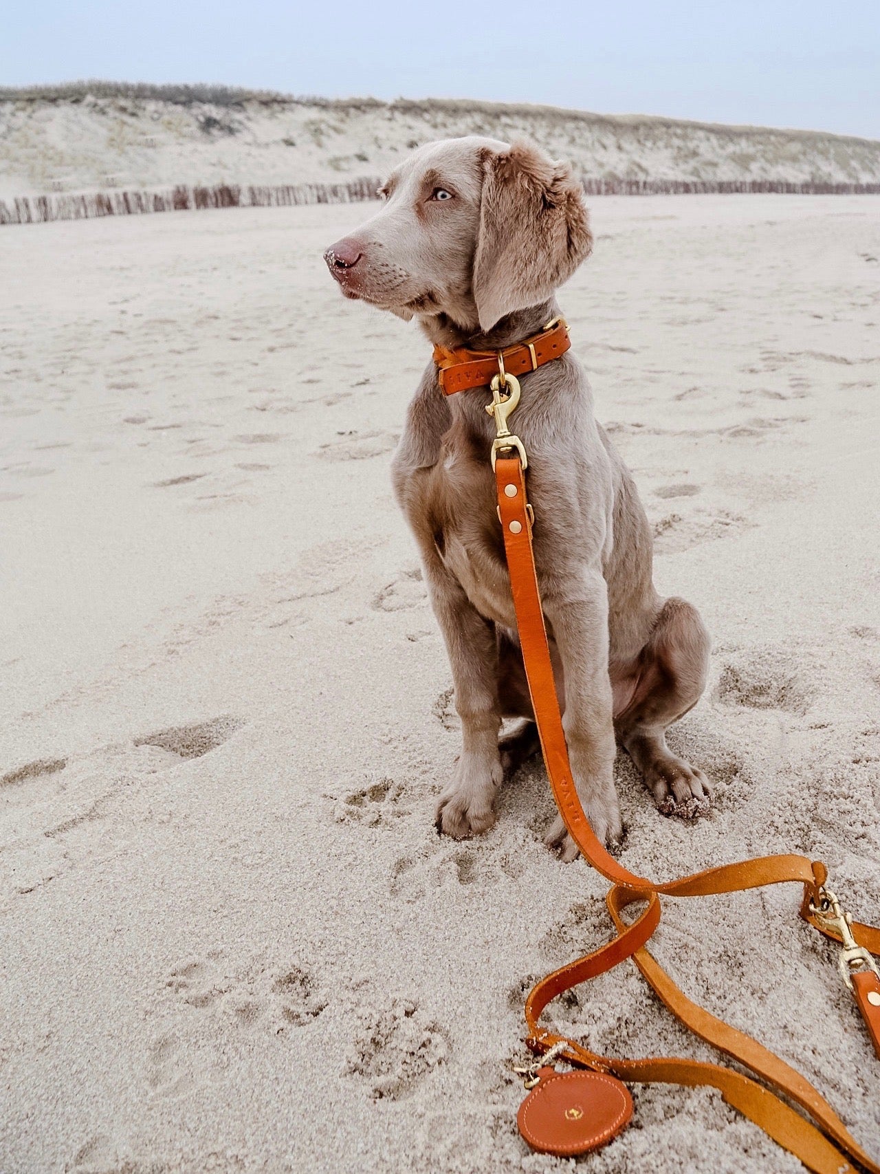 <transcy>Fat leather key ring small</transcy>
