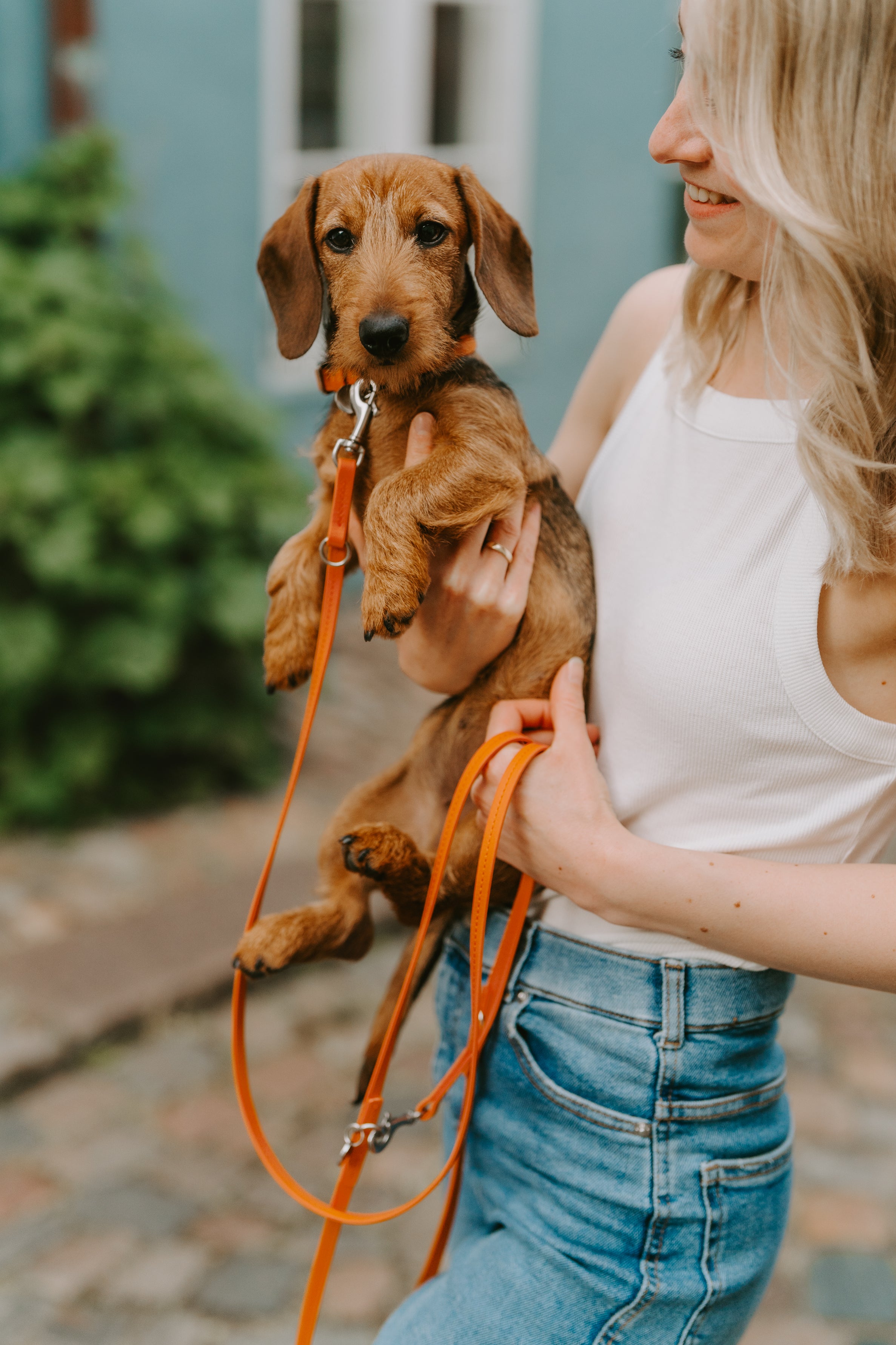 Biothane Halsband Classic individuell