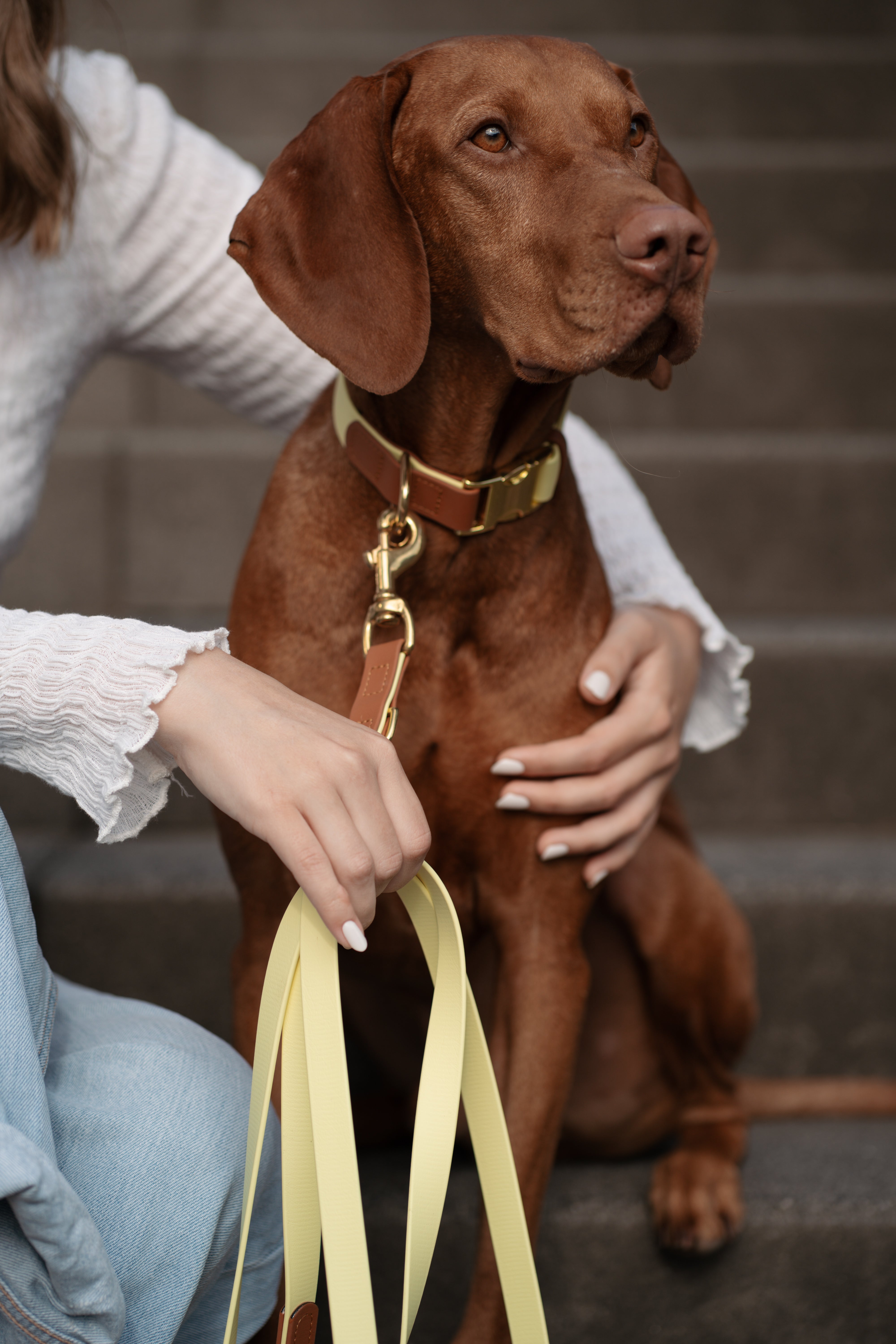 Biothane Halsband Maddison-Klick individuell