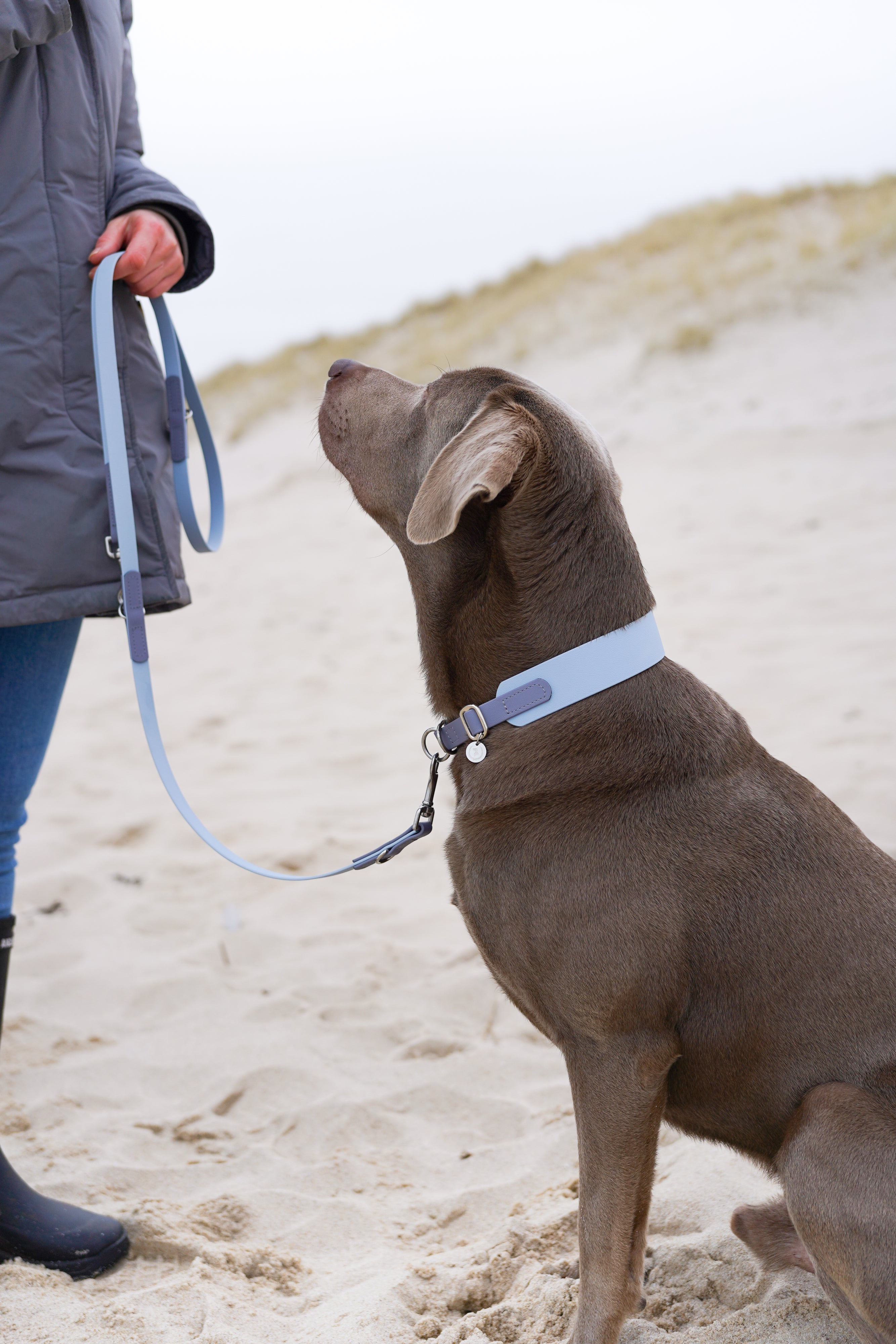 Biothane Zugstopphalsband Maddison 38mm individuell