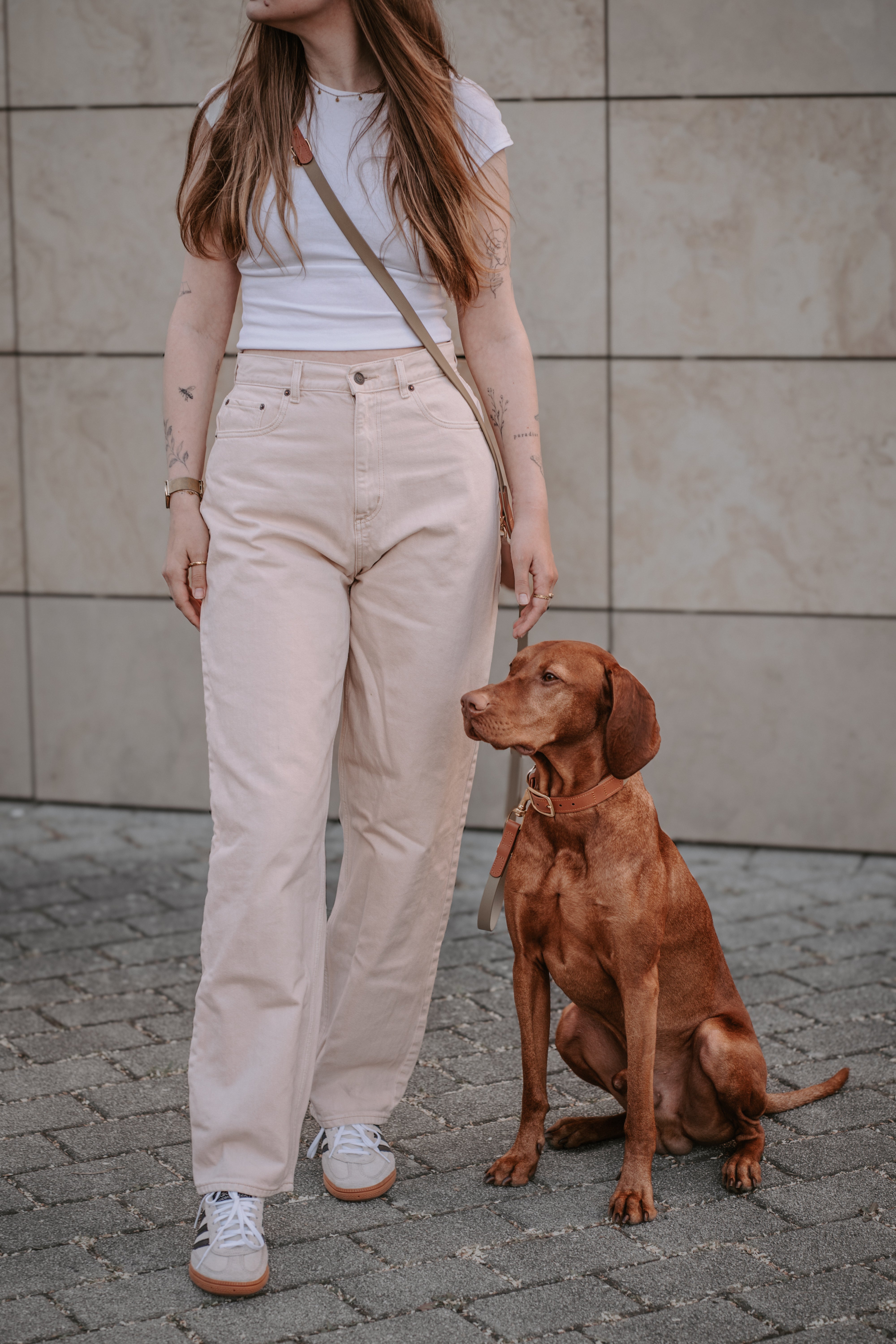 Biothane Leine Maddison