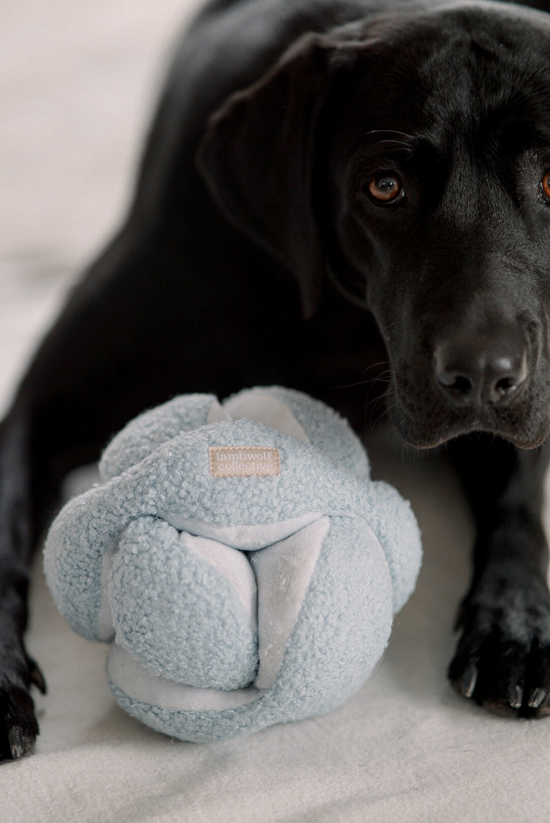 MONTI Schnüffelball Babyblau