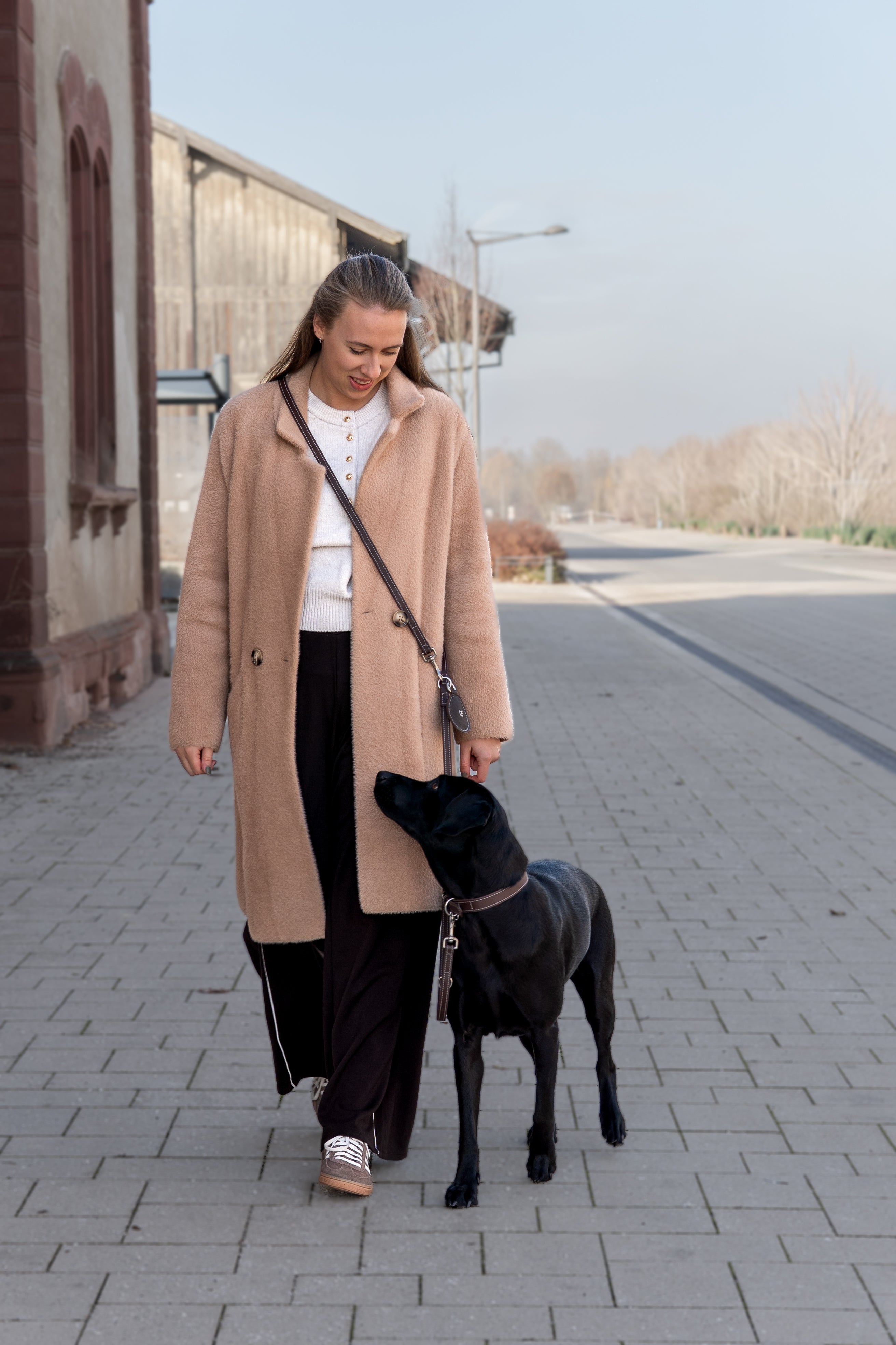 Biothane Leine Nooka Chocolate