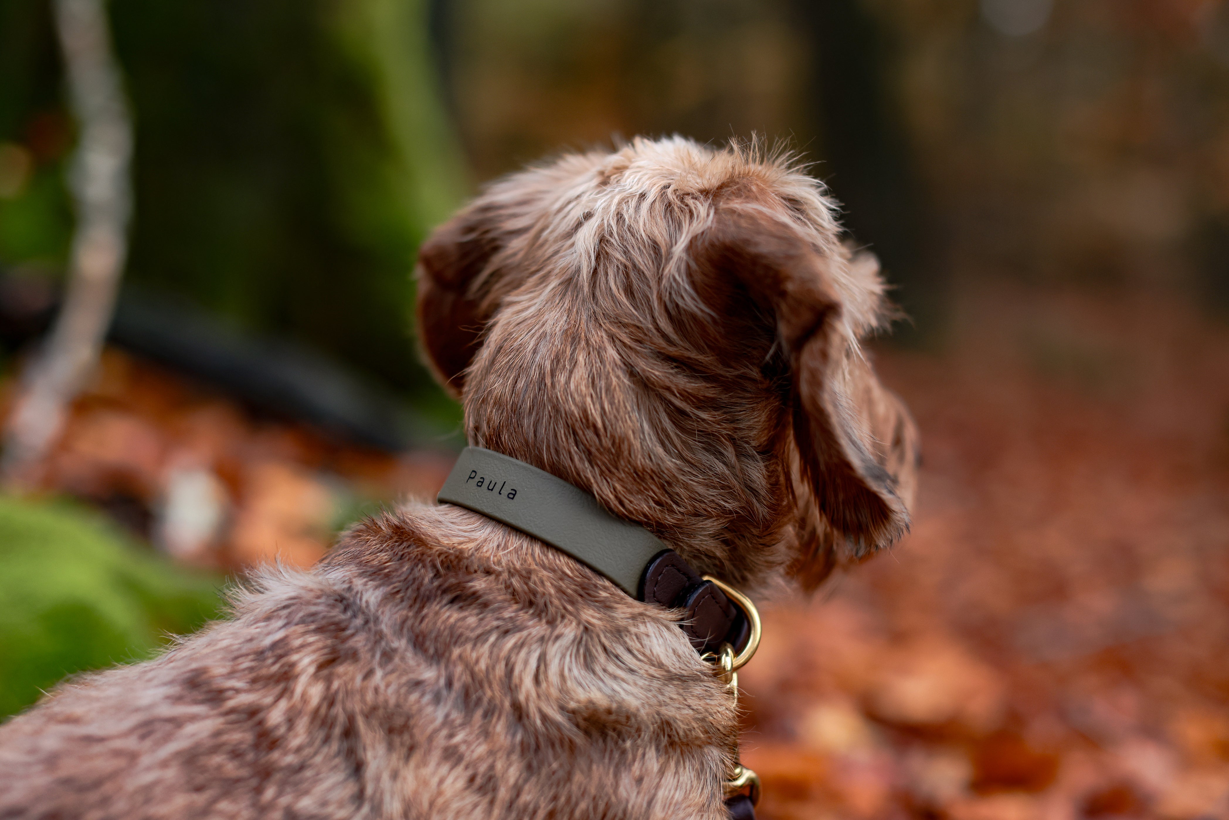 Biothane Halsband Maddison individuell