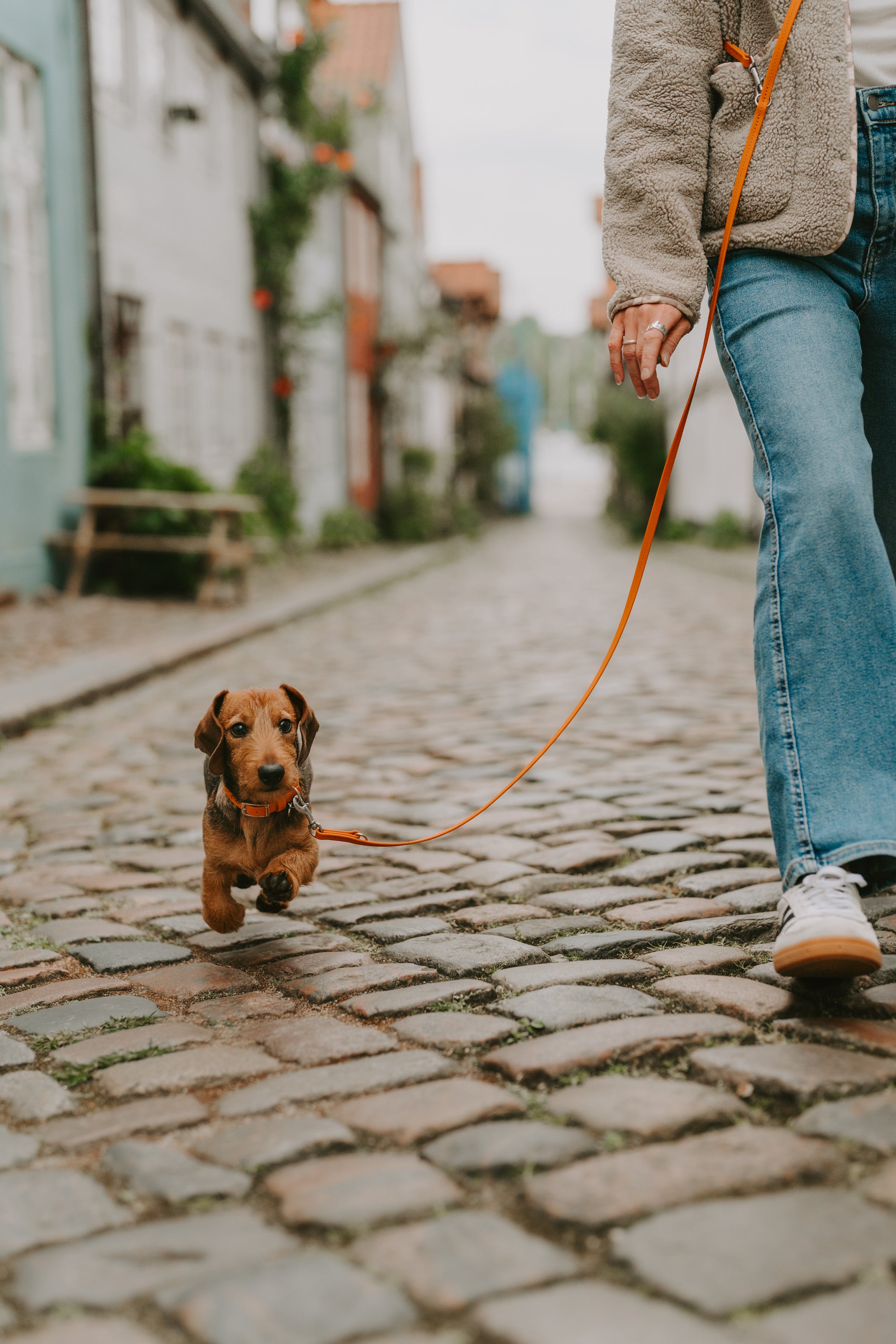 Biothane Leine Classic Small individuell