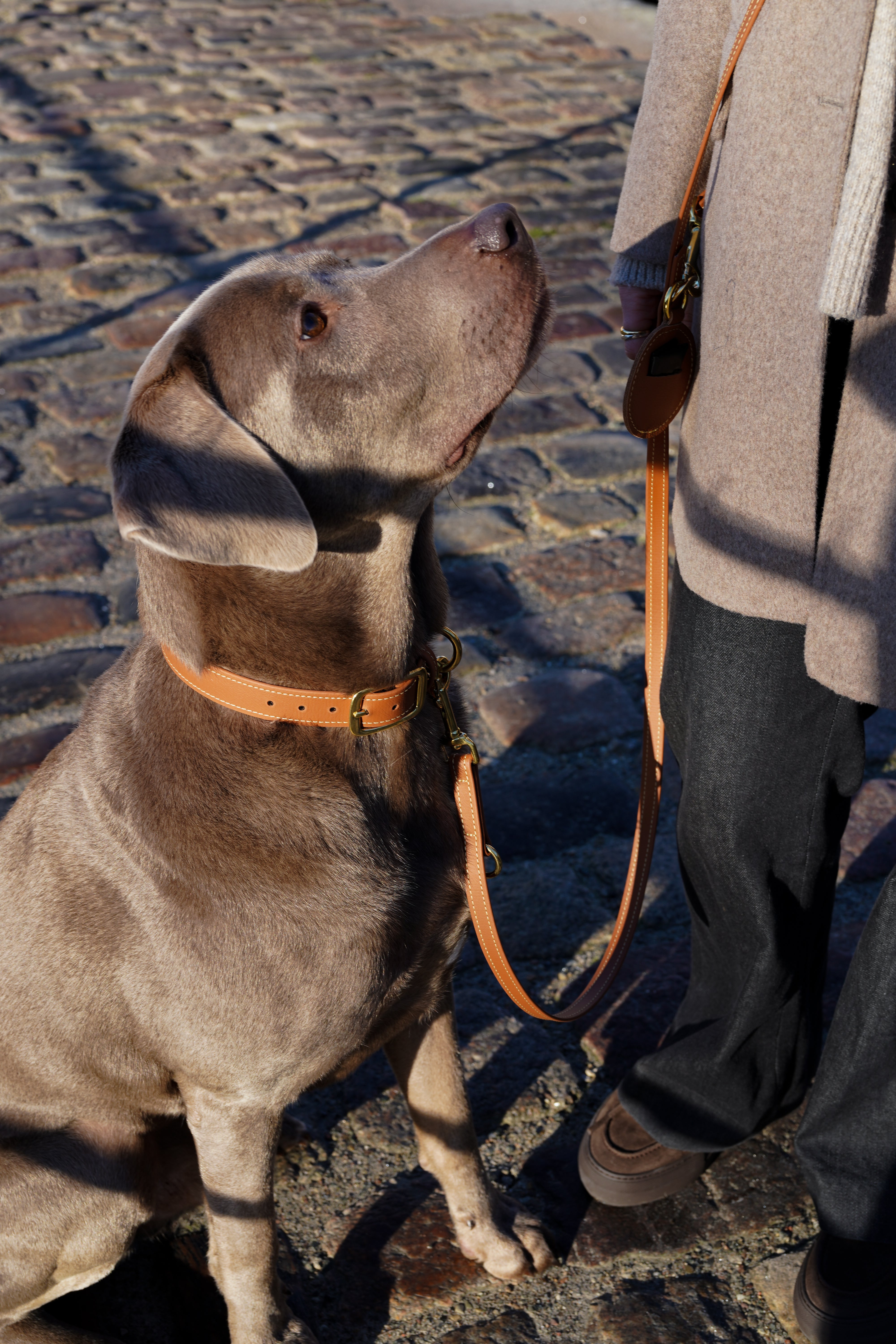 Biothane Leine Nooka Toffee