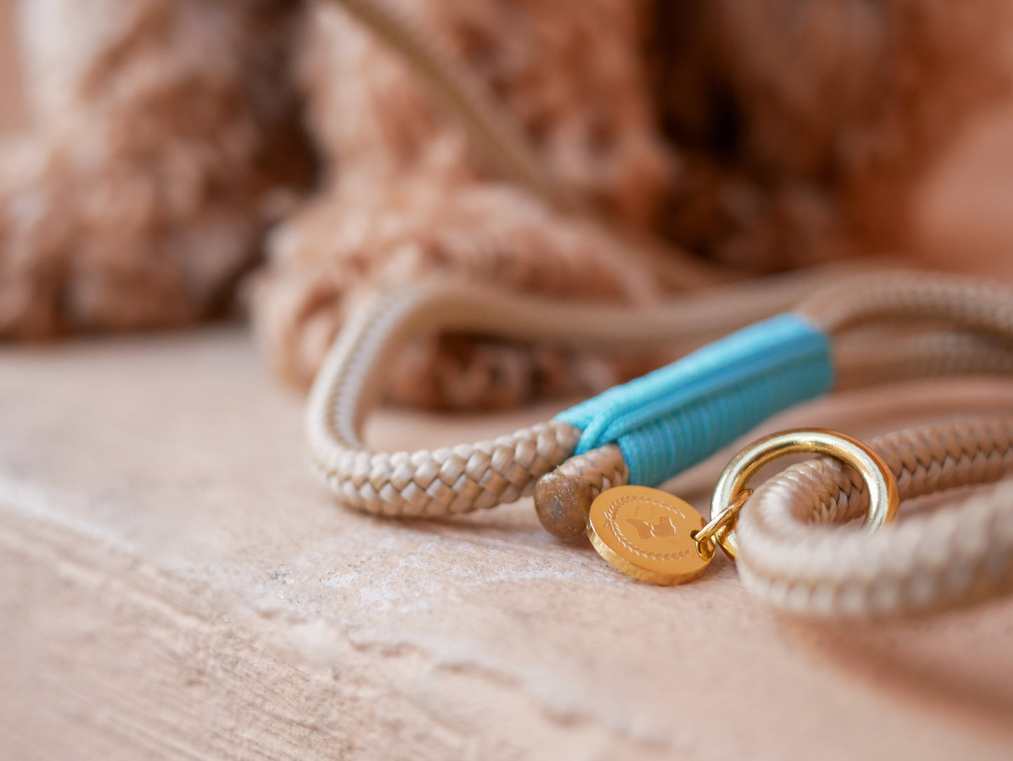 <transcy>Retriever leash</transcy>
