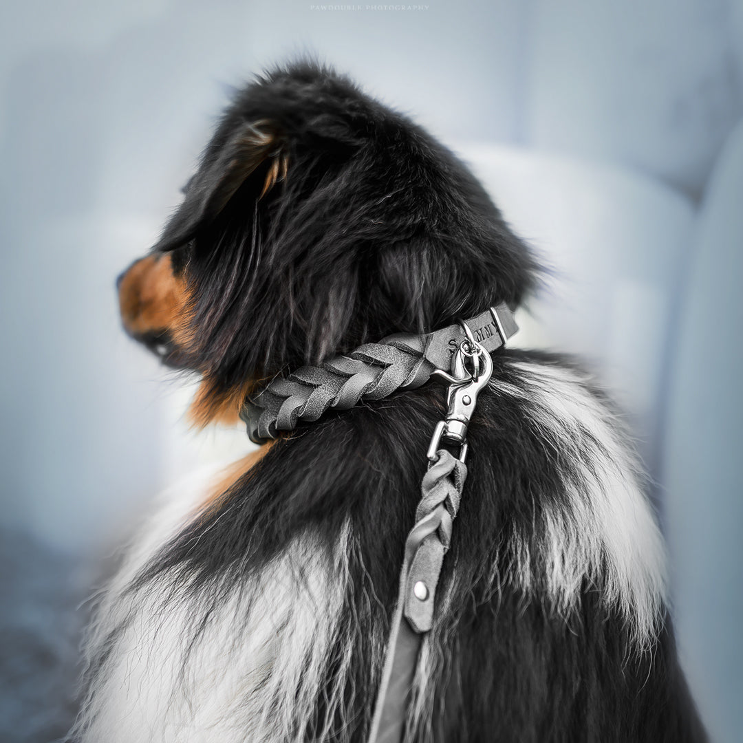 Fettlederhalsband geflochten