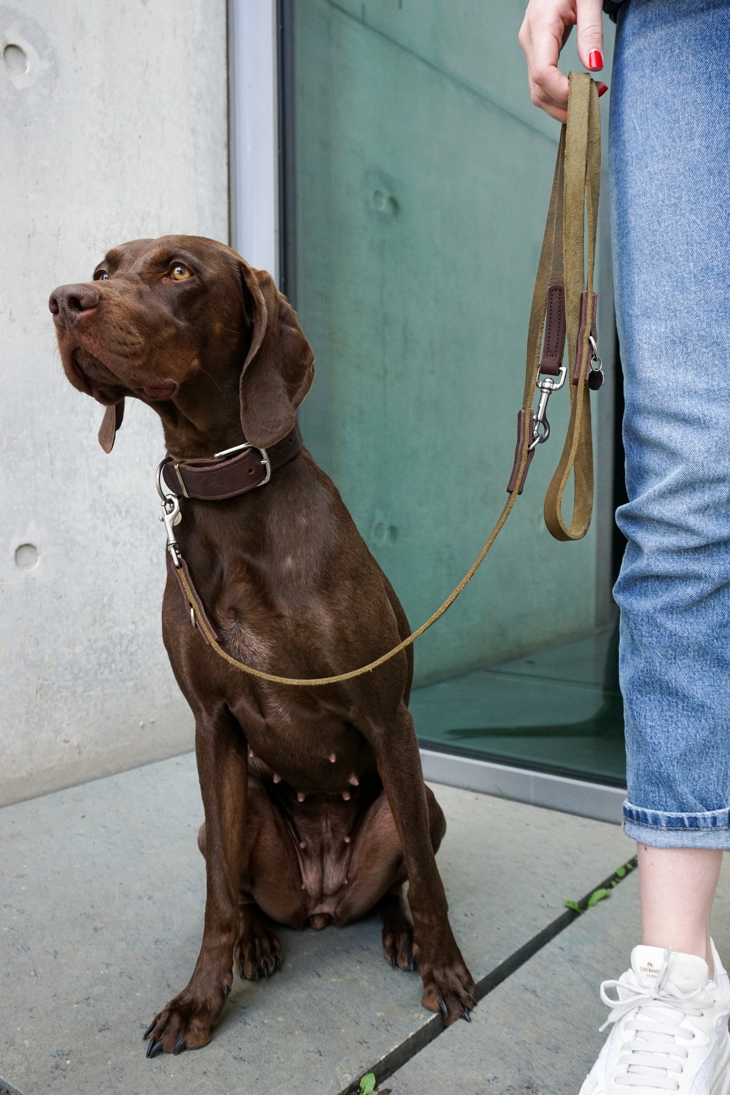 Fettlederhalsband Maddison