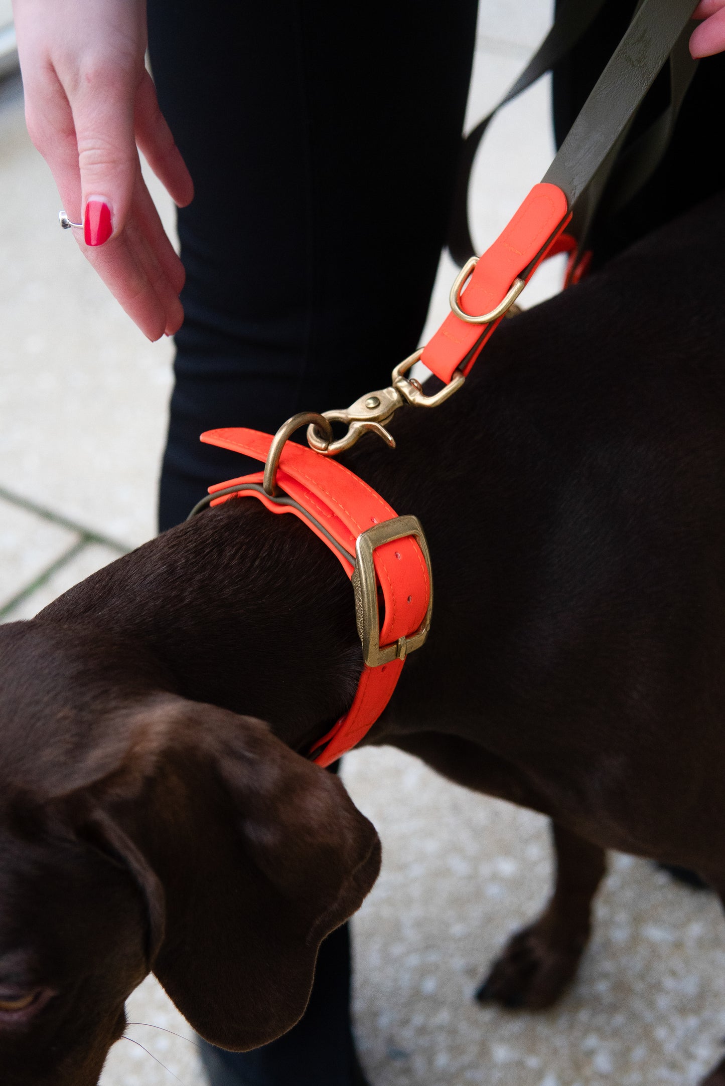 Biothane Halsband Maddison