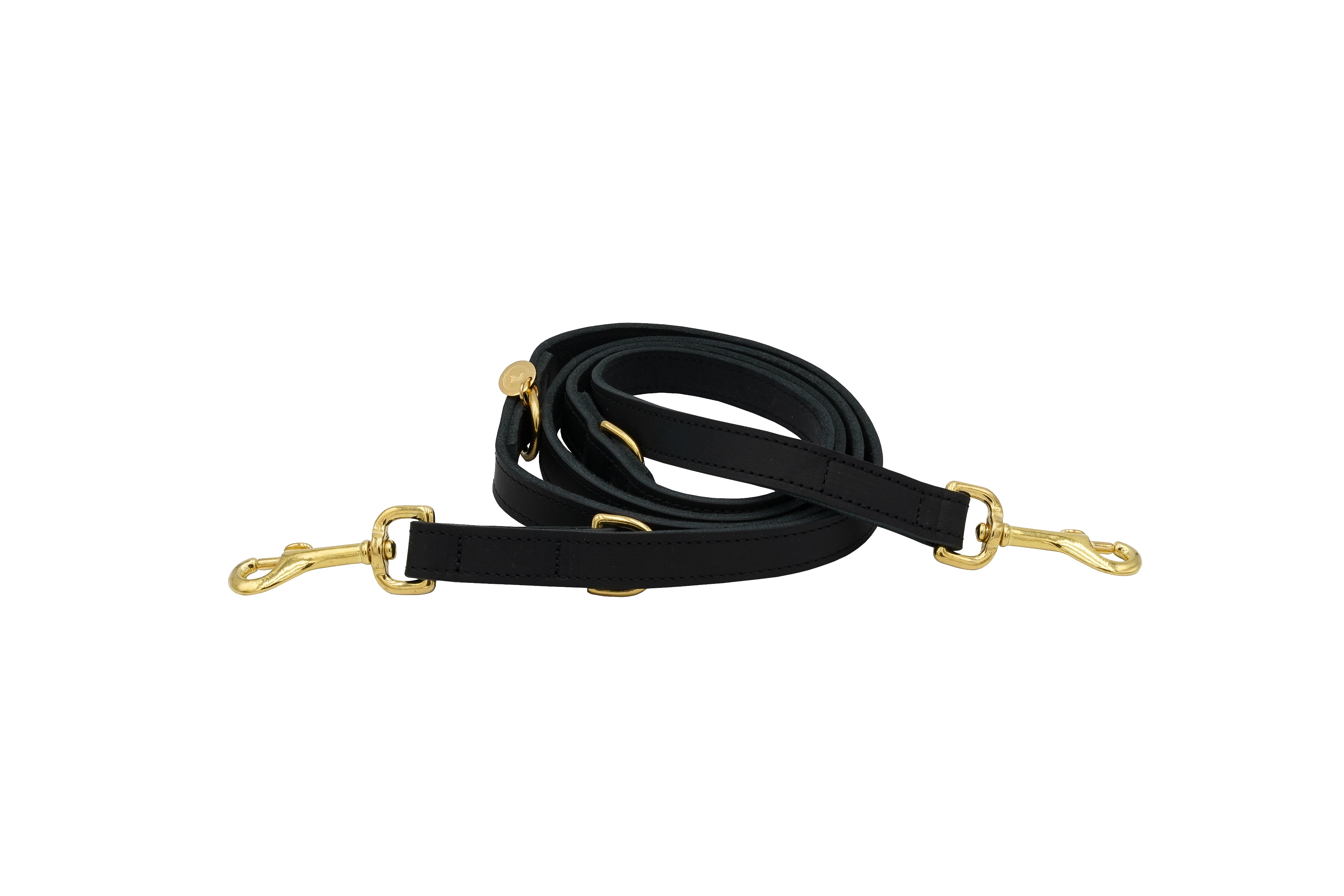 <transcy>Classic leather leash</transcy>