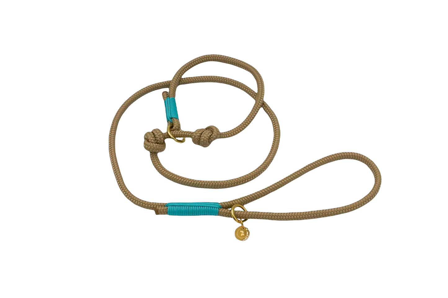 <transcy>Retriever leash</transcy>