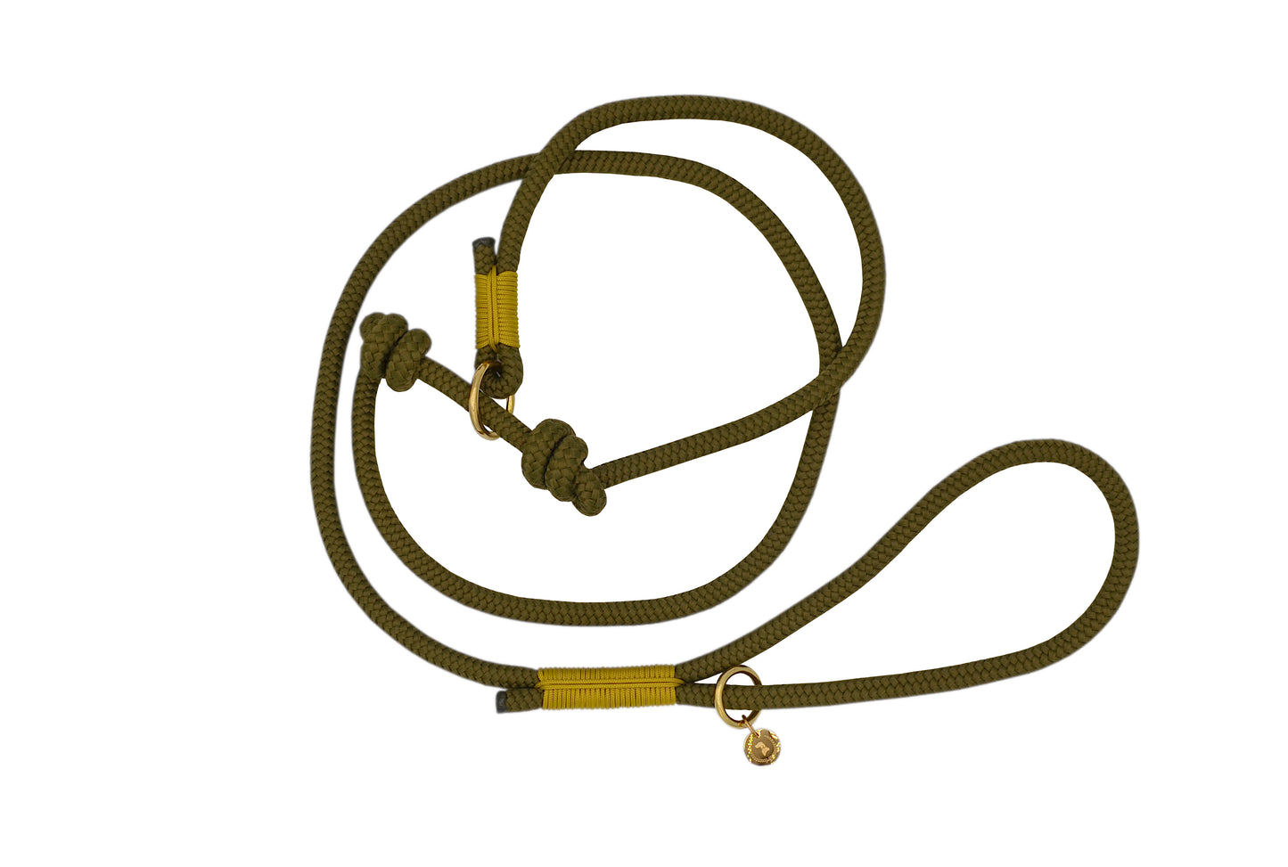 <transcy>Retriever leash</transcy>
