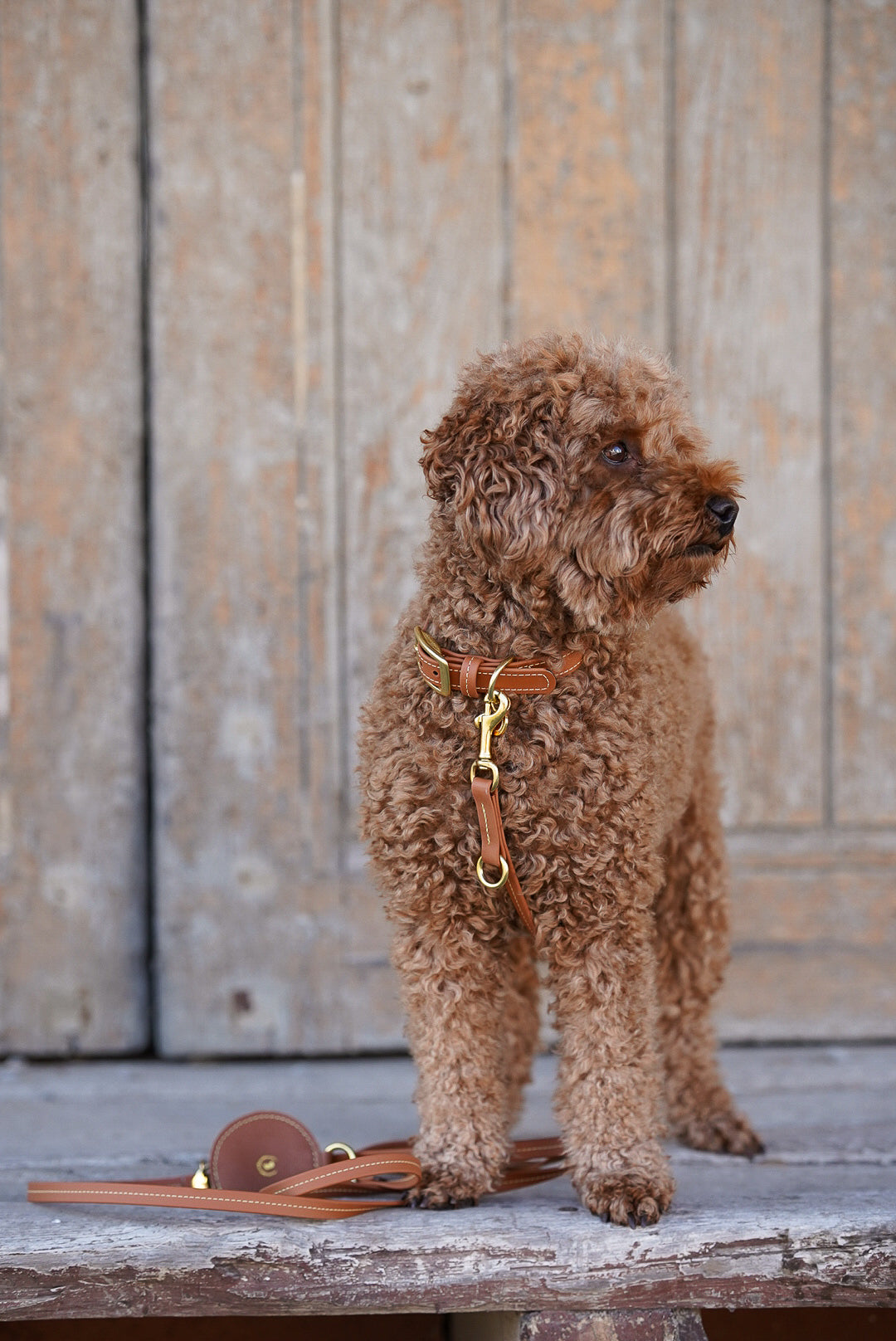 Biothane Leine Nooka Toffee small