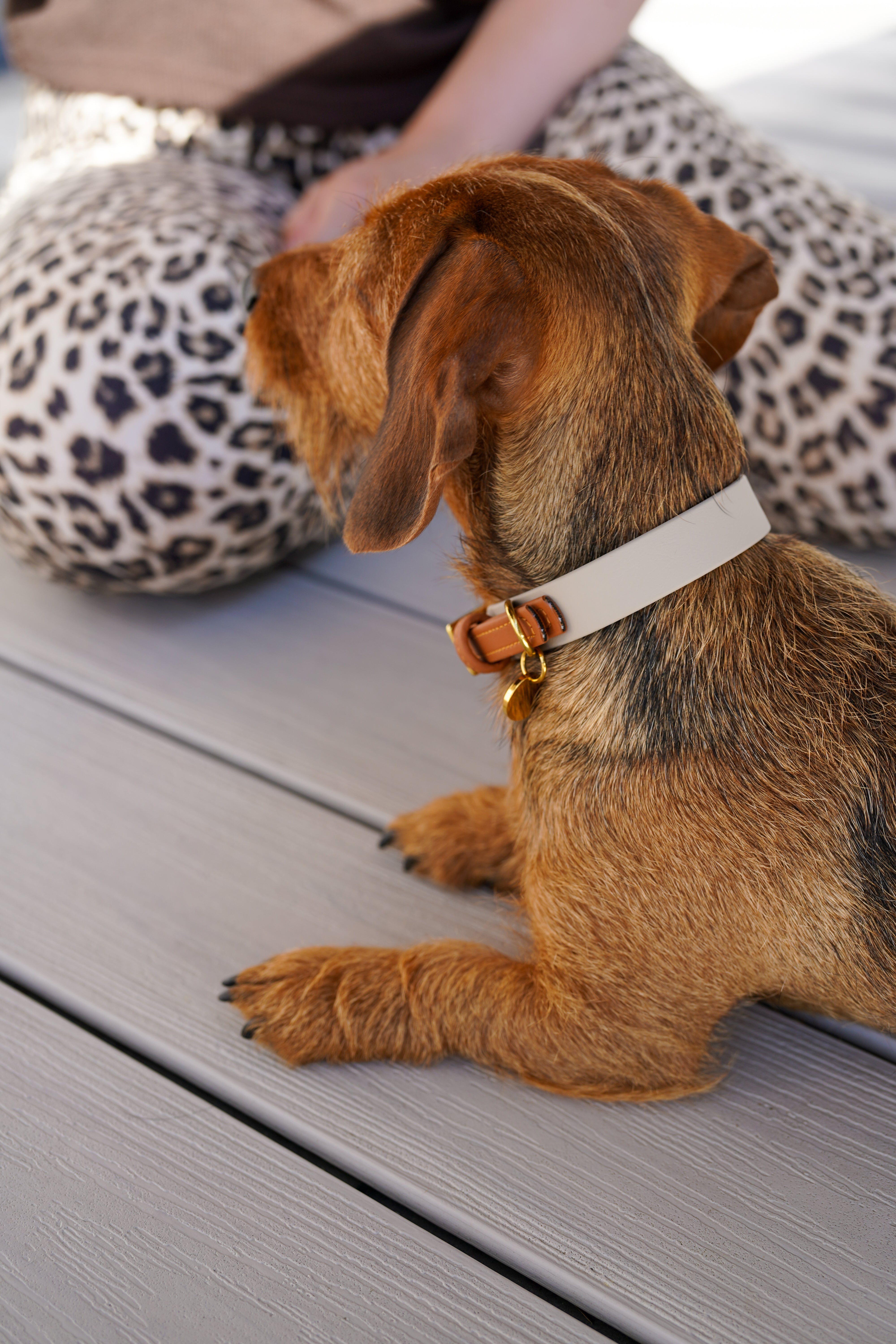Biothane Halsband Maddison wide