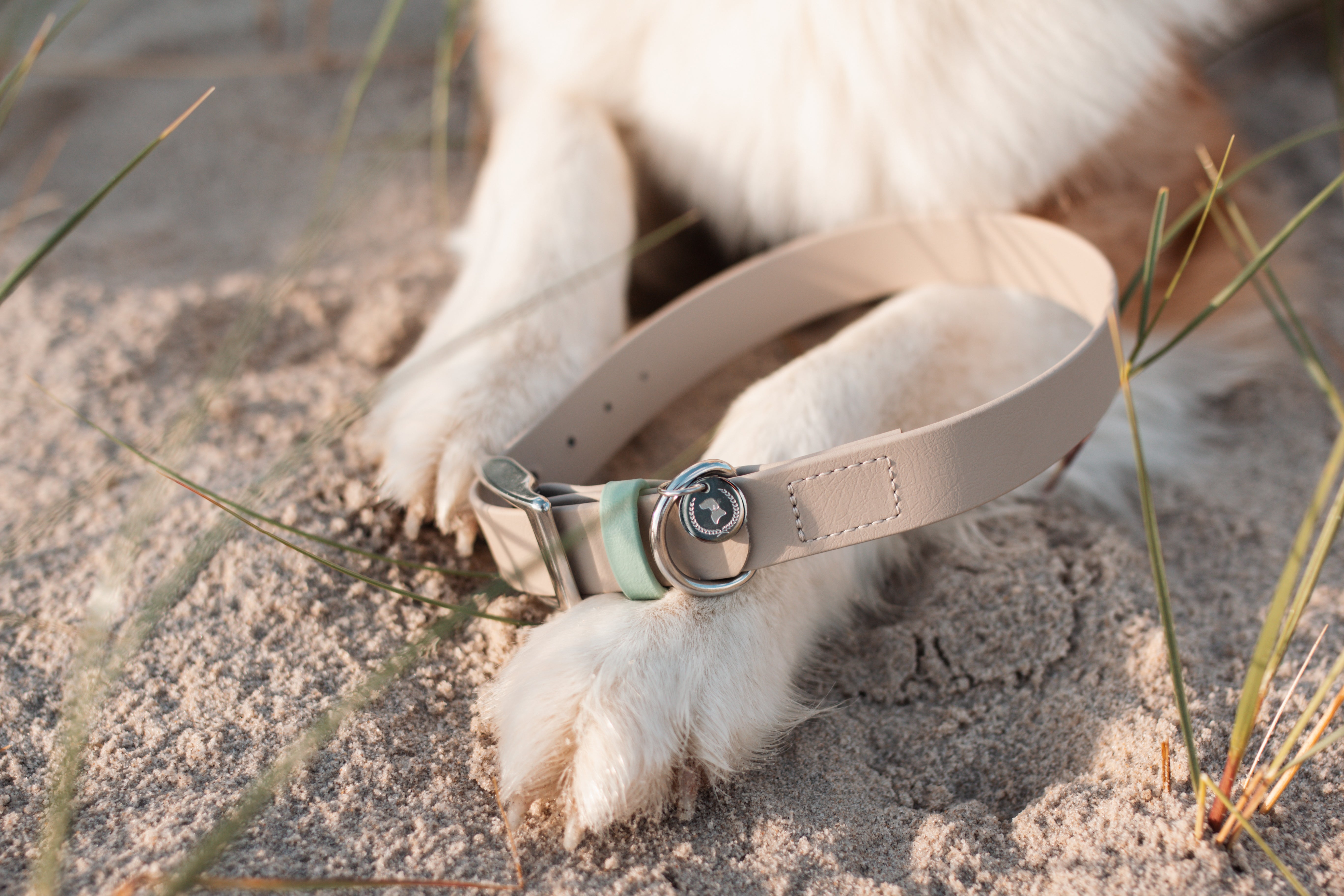 Biothane Halsband Nemi 'individuell'