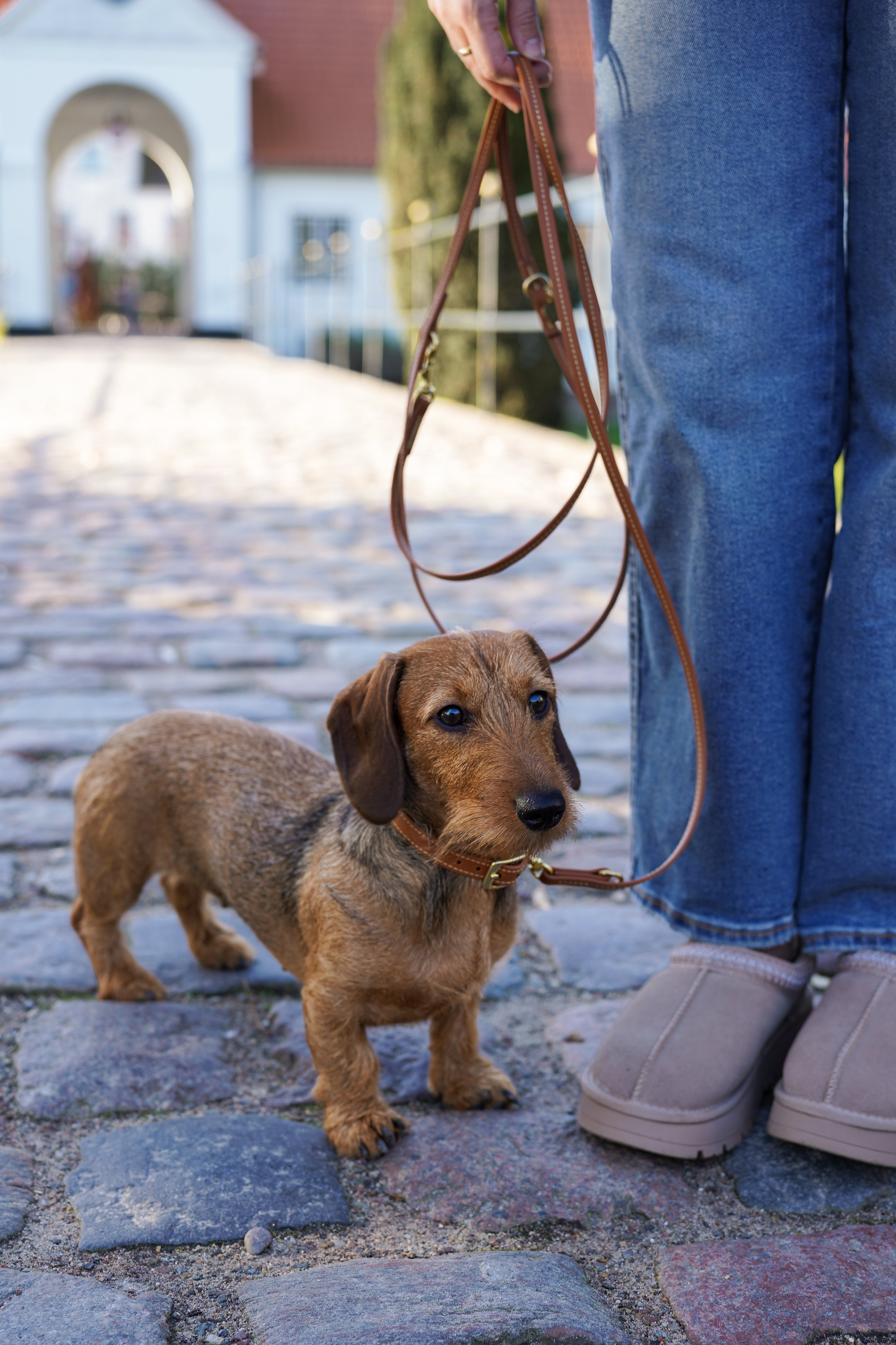 Biothane Leine Nooka Toffee small