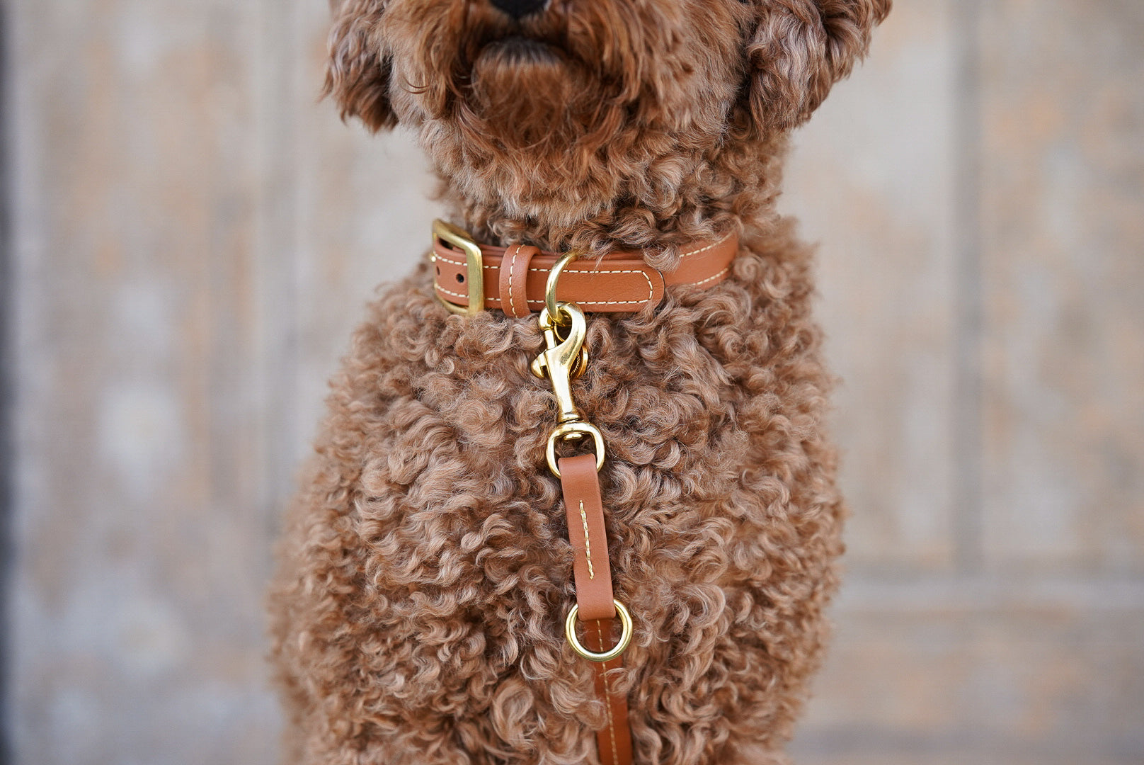 Biothane Halsband Nooka Toffee small