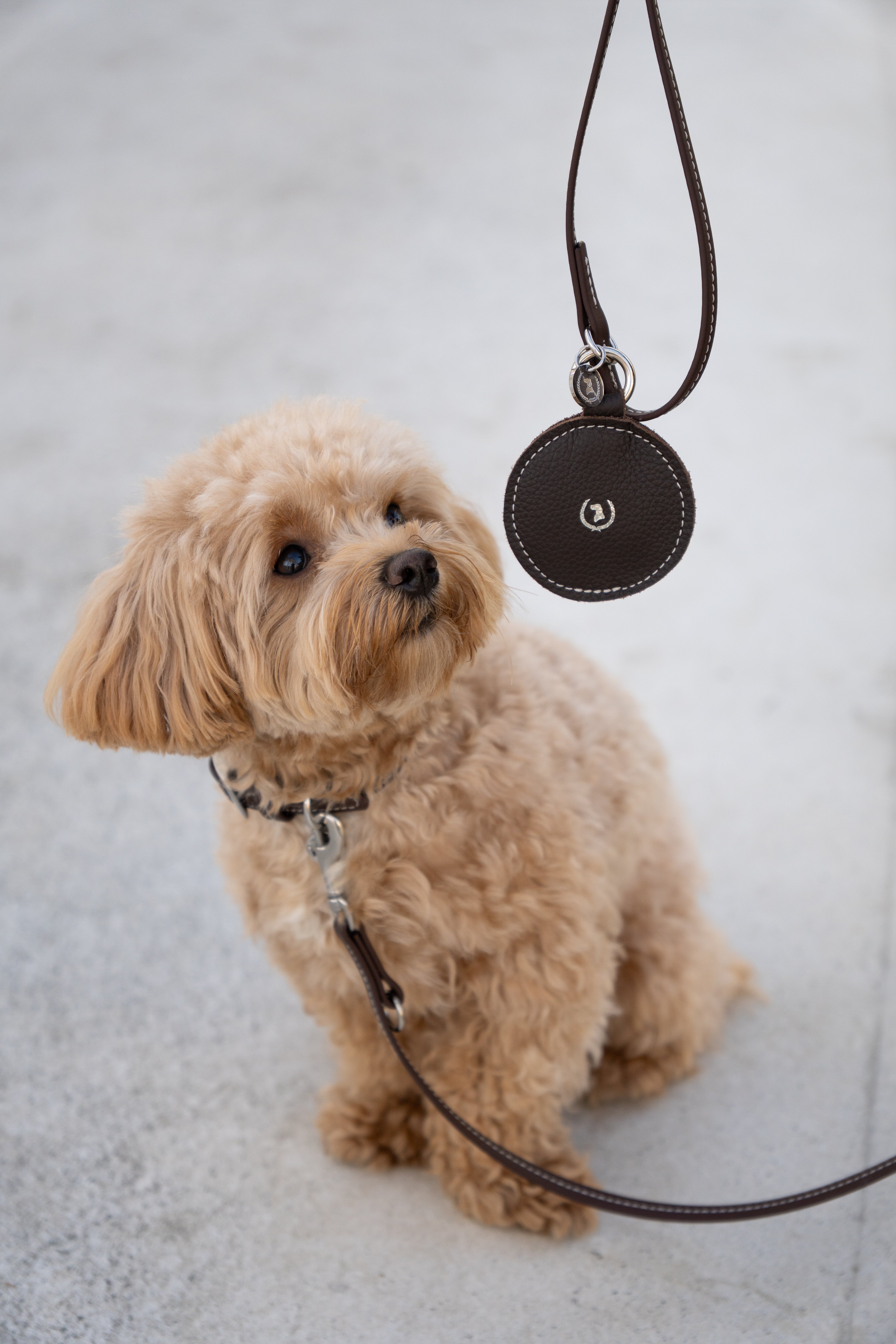 Kotbeutelspender Nooka Chocolate