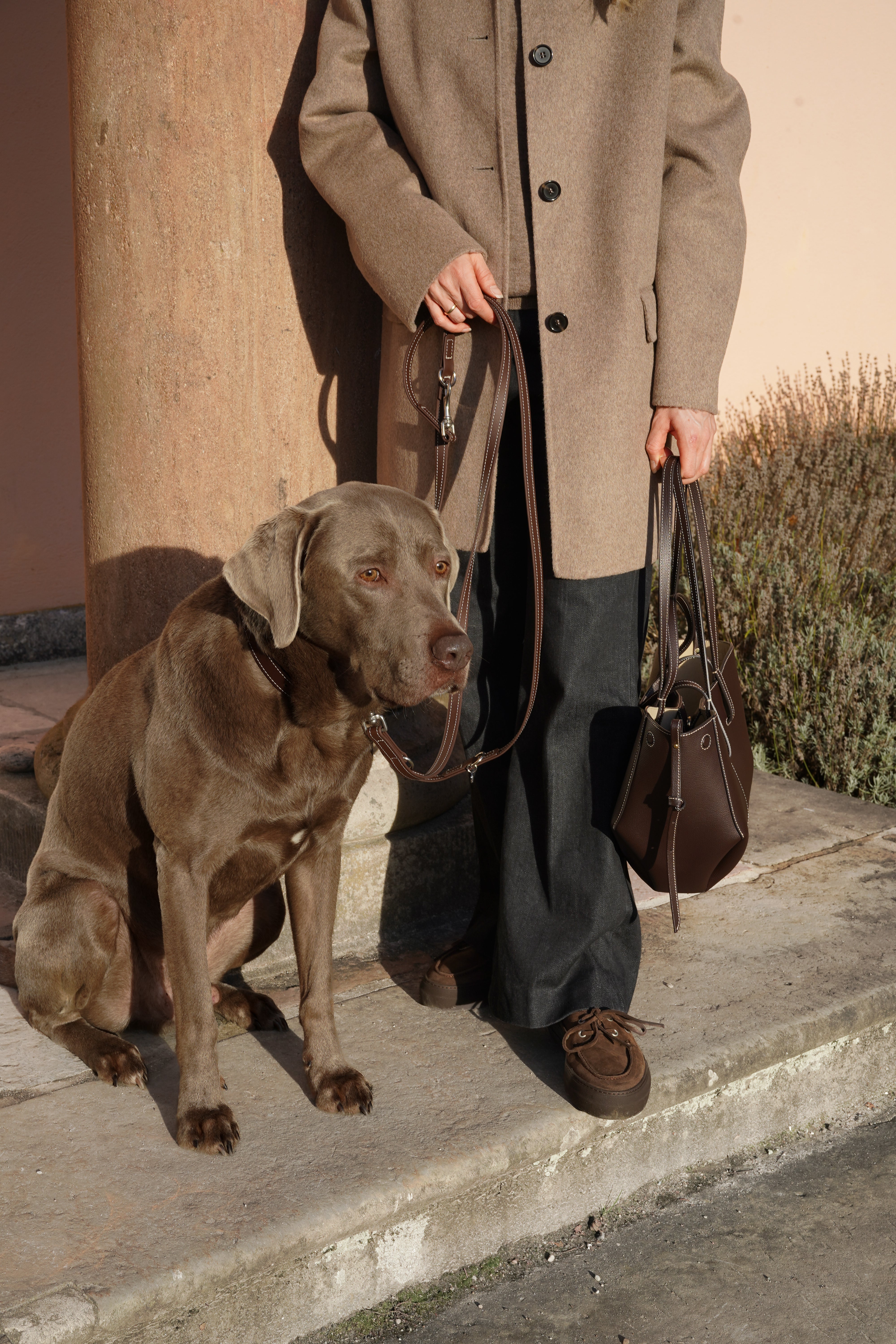 Biothane Leine Nooka Chocolate