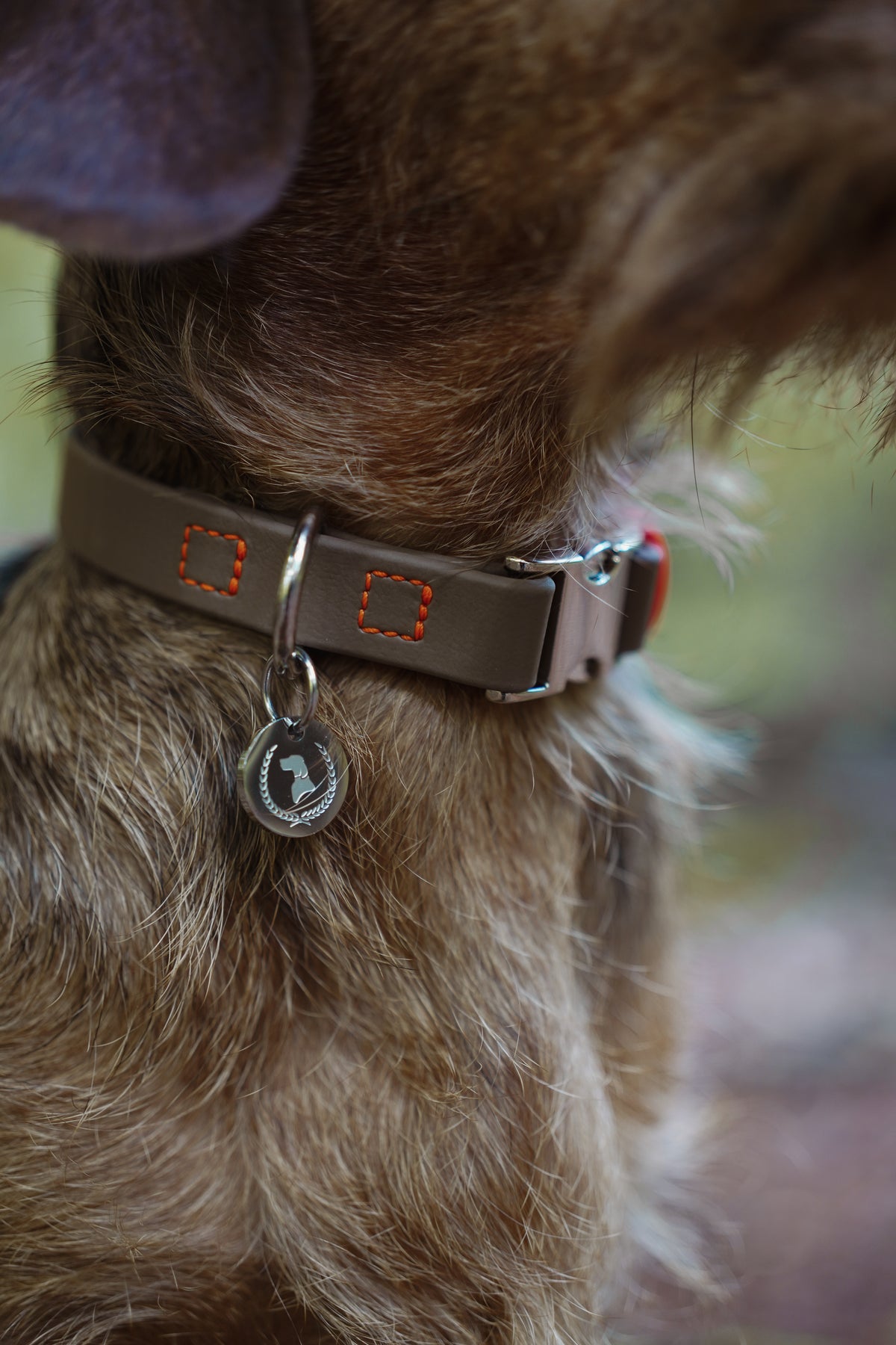 Biothane Halsband Nemi-Klick ``individuell``