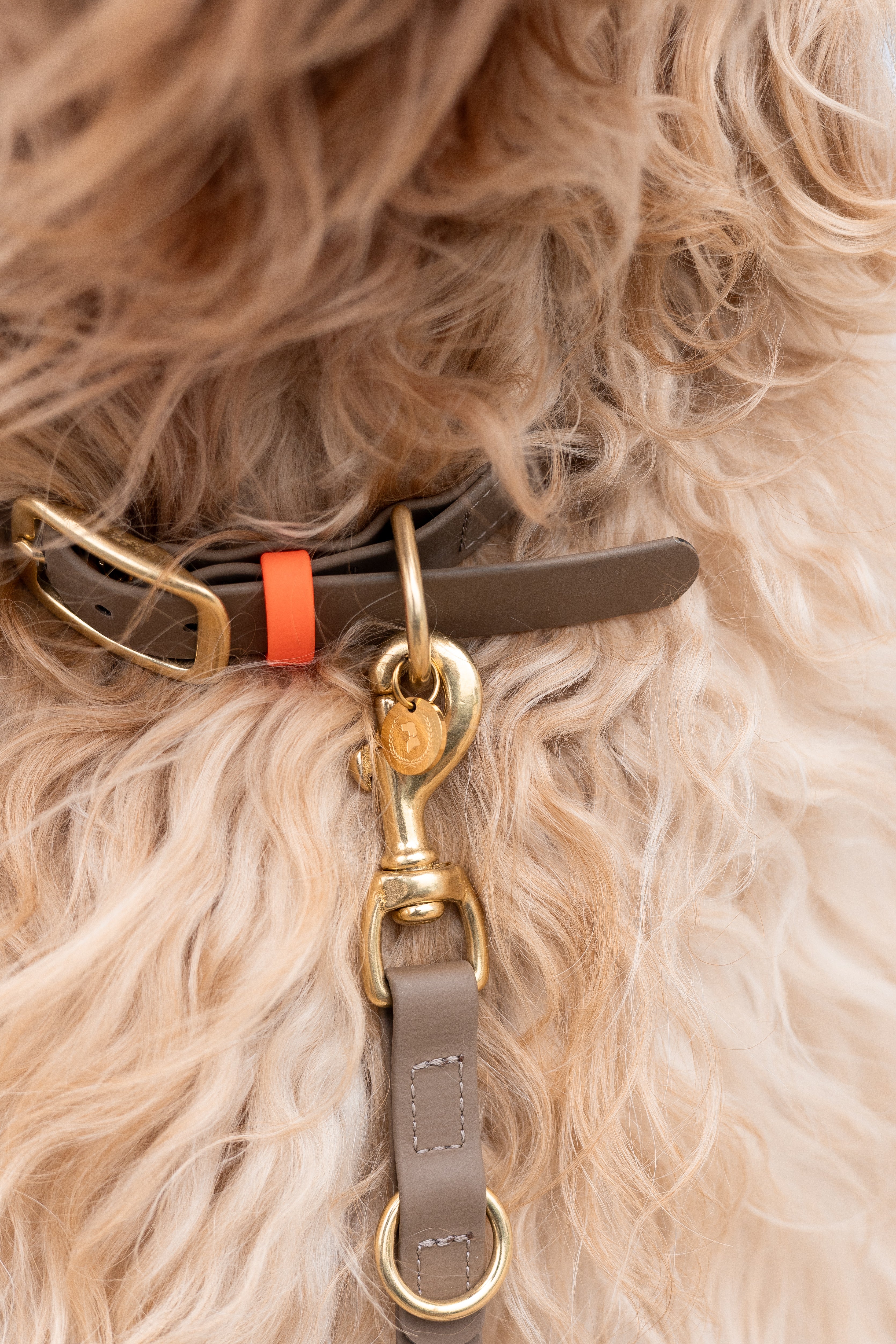 Biothane Halsband Nemi 'individuell'