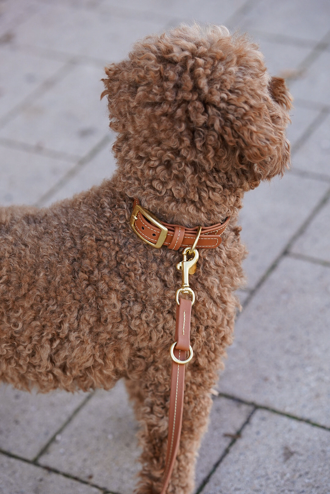 Biothane Halsband Nooka Toffee small