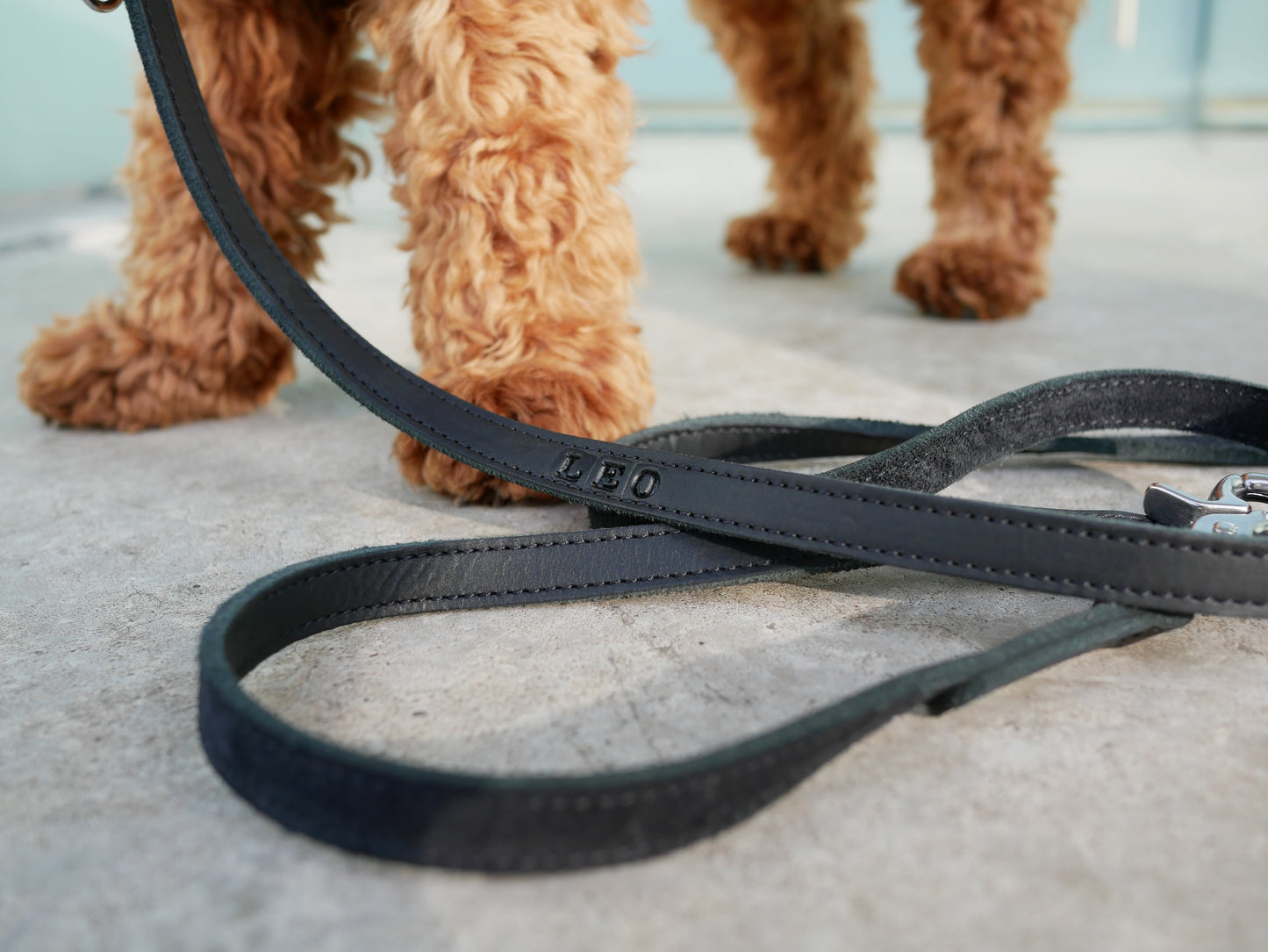 <transcy>Classic leather leash</transcy>