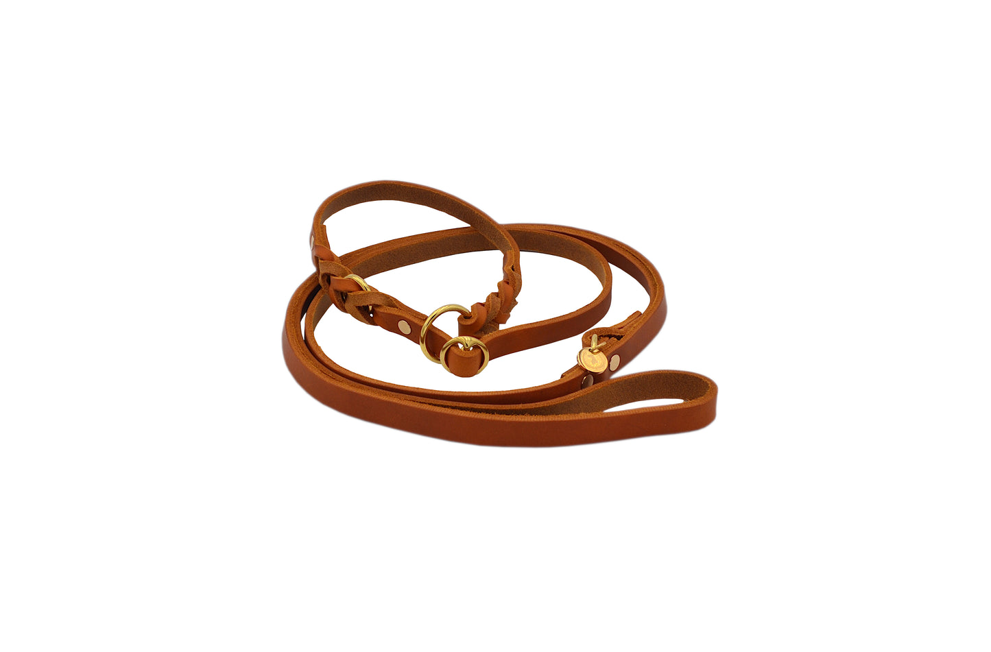 <transcy>Fat leather retriever leash</transcy>